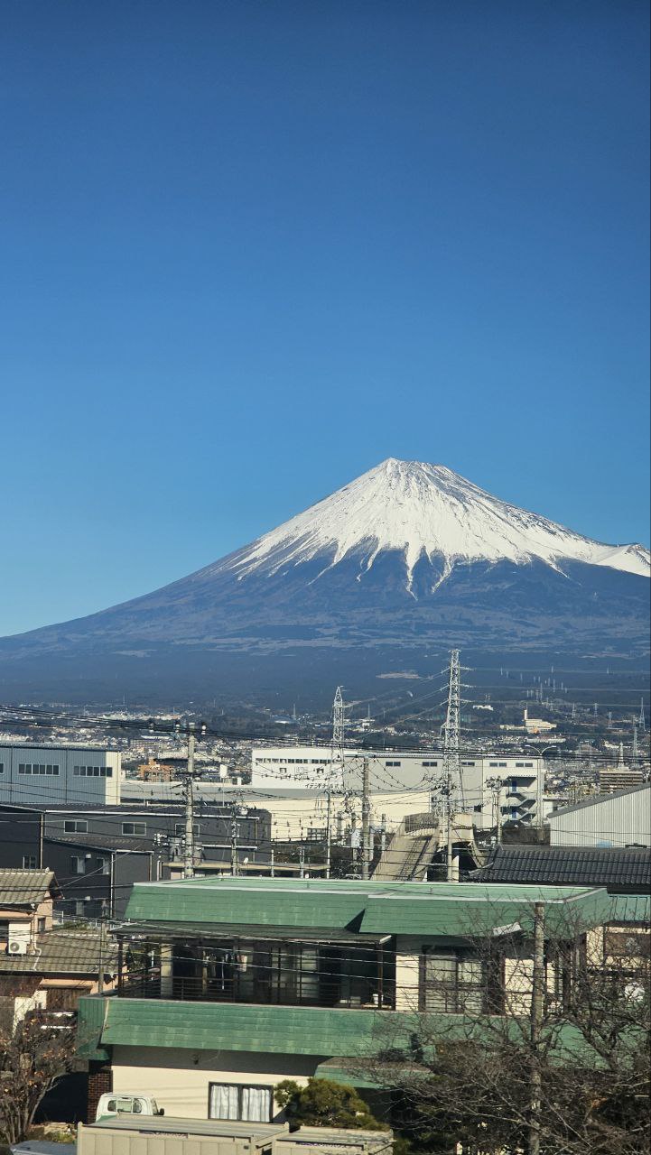 Новогодняя Япония (33/49)