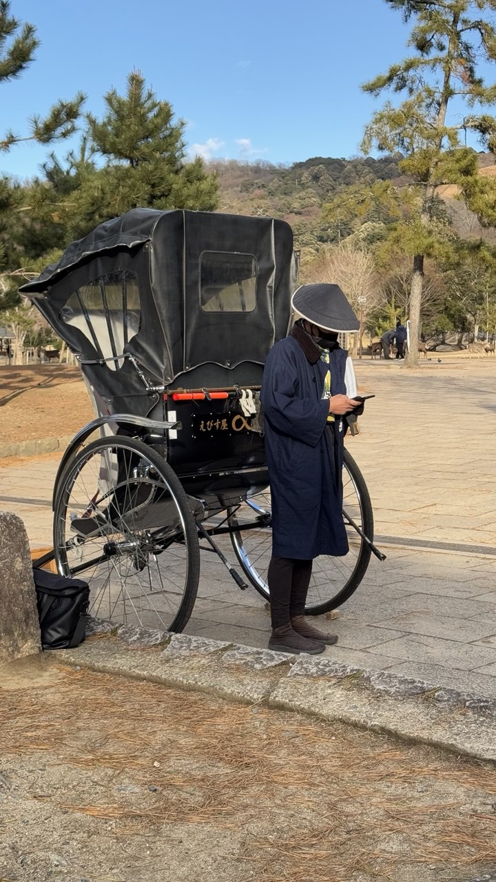 Новогодняя Япония (23/49)