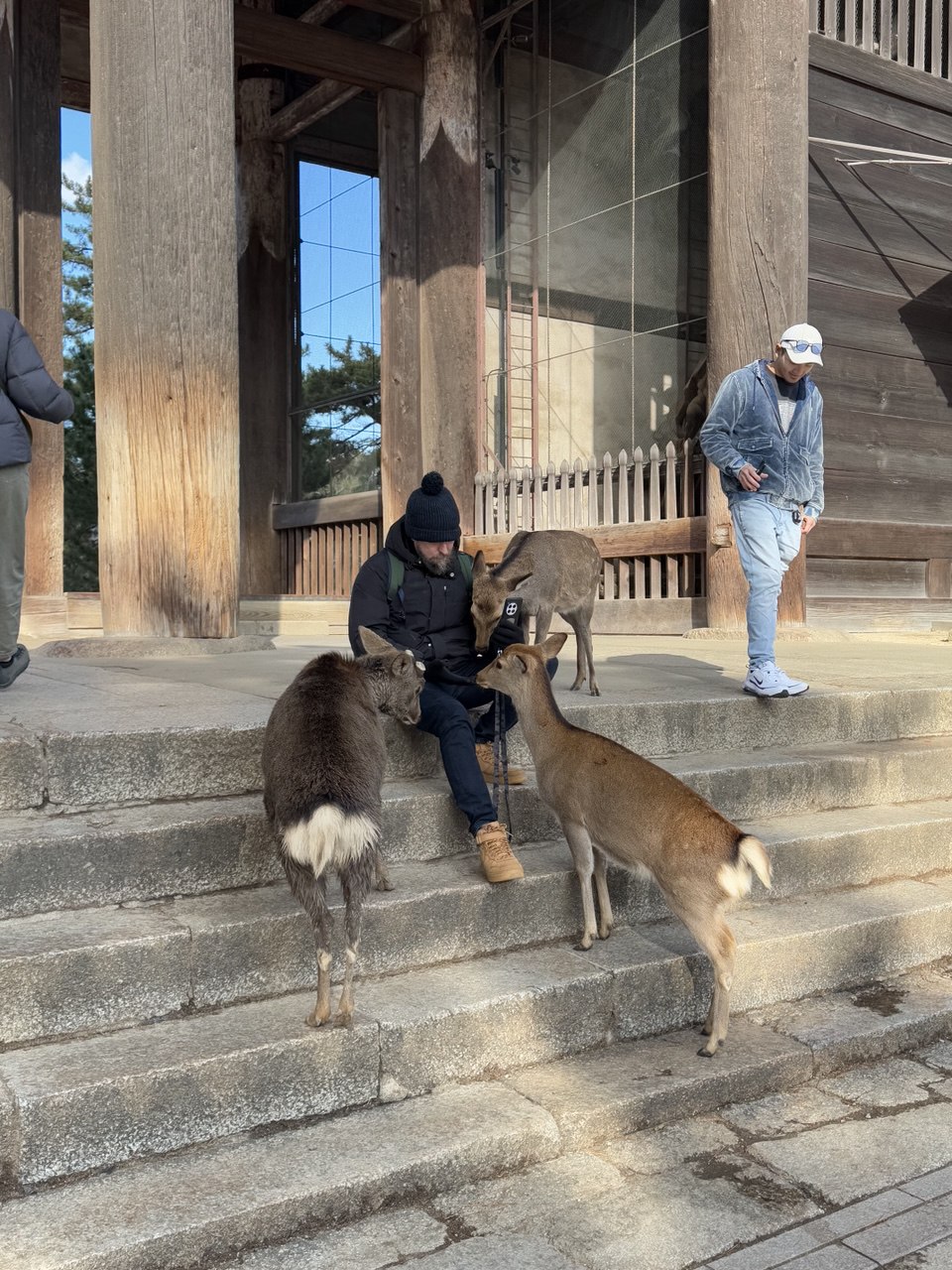 Новогодняя Япония (31/49)