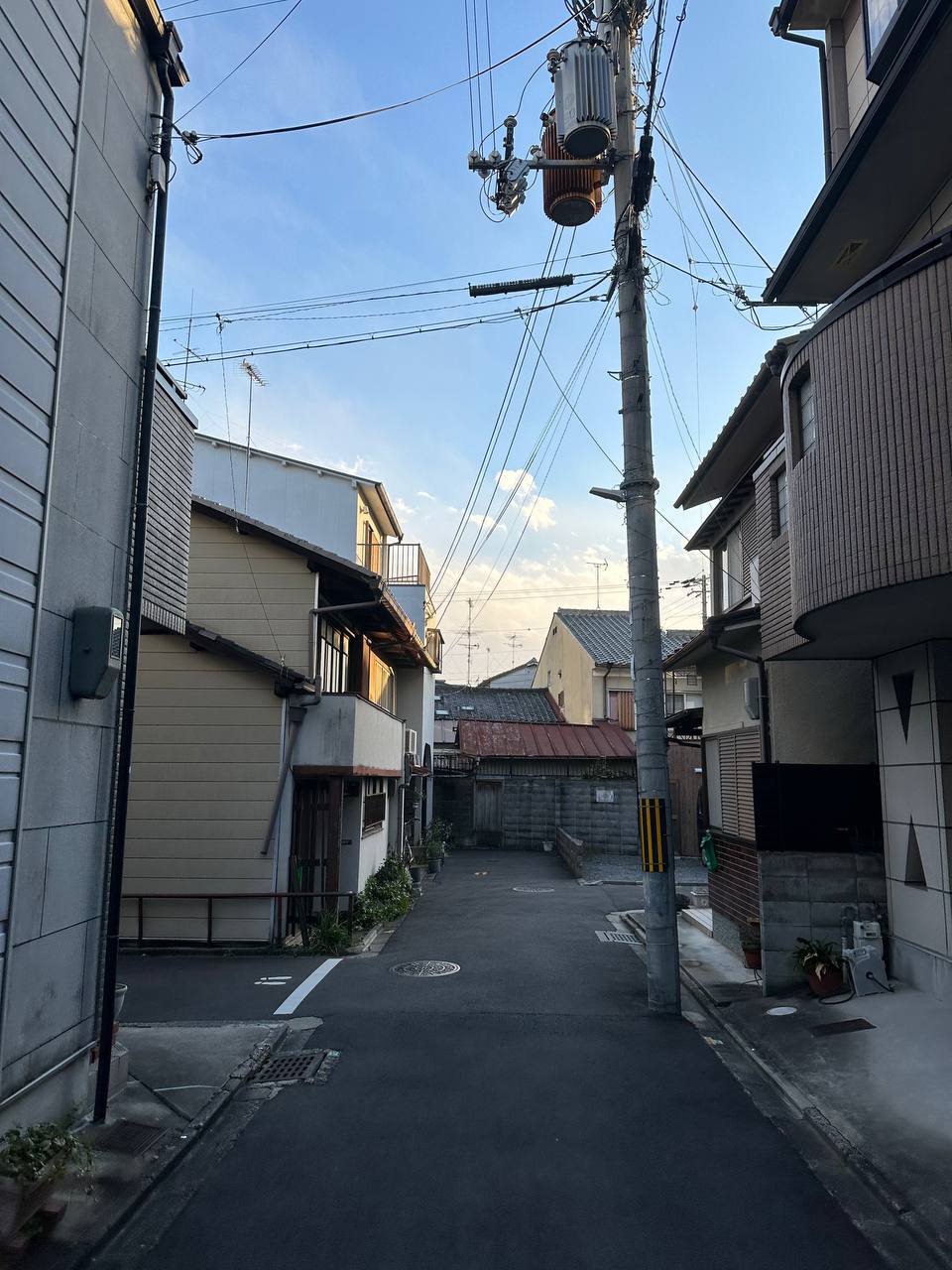 Новогодняя Япония (34/49)