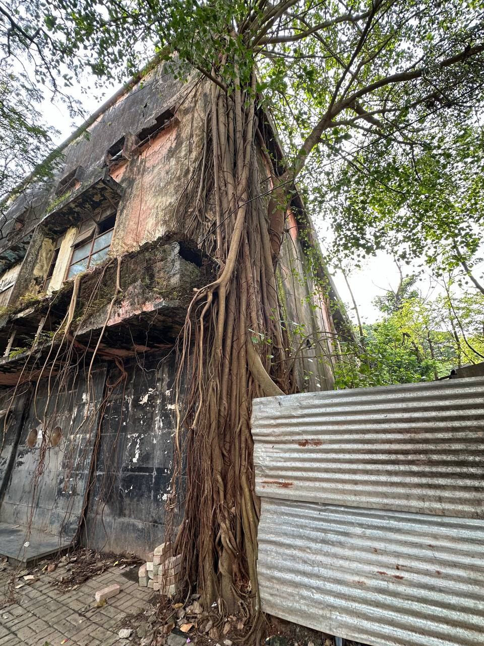 Волшебная Индия с Гоа (128/170)