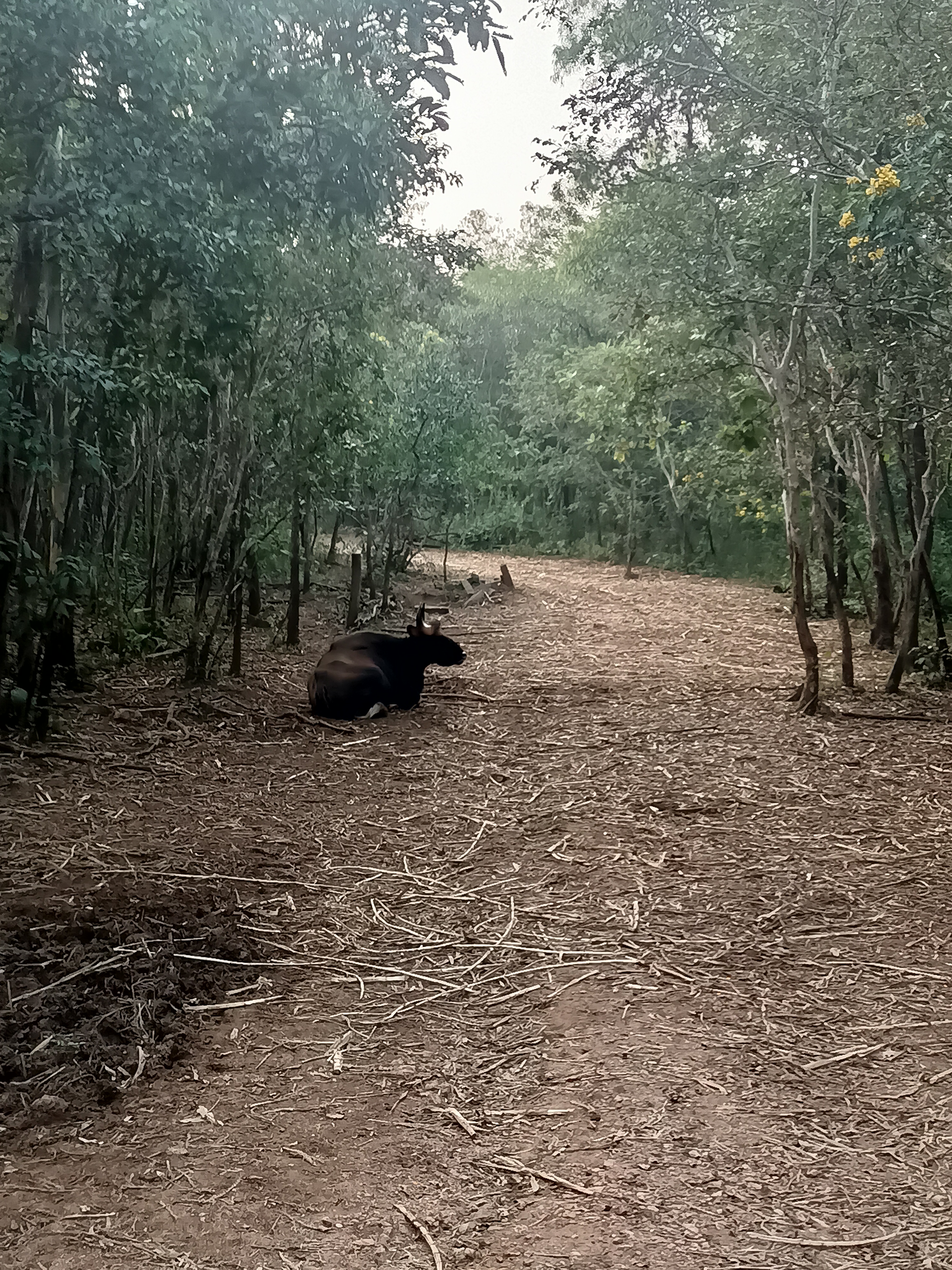 Гоа: Незабываемое путешествие (39/86)