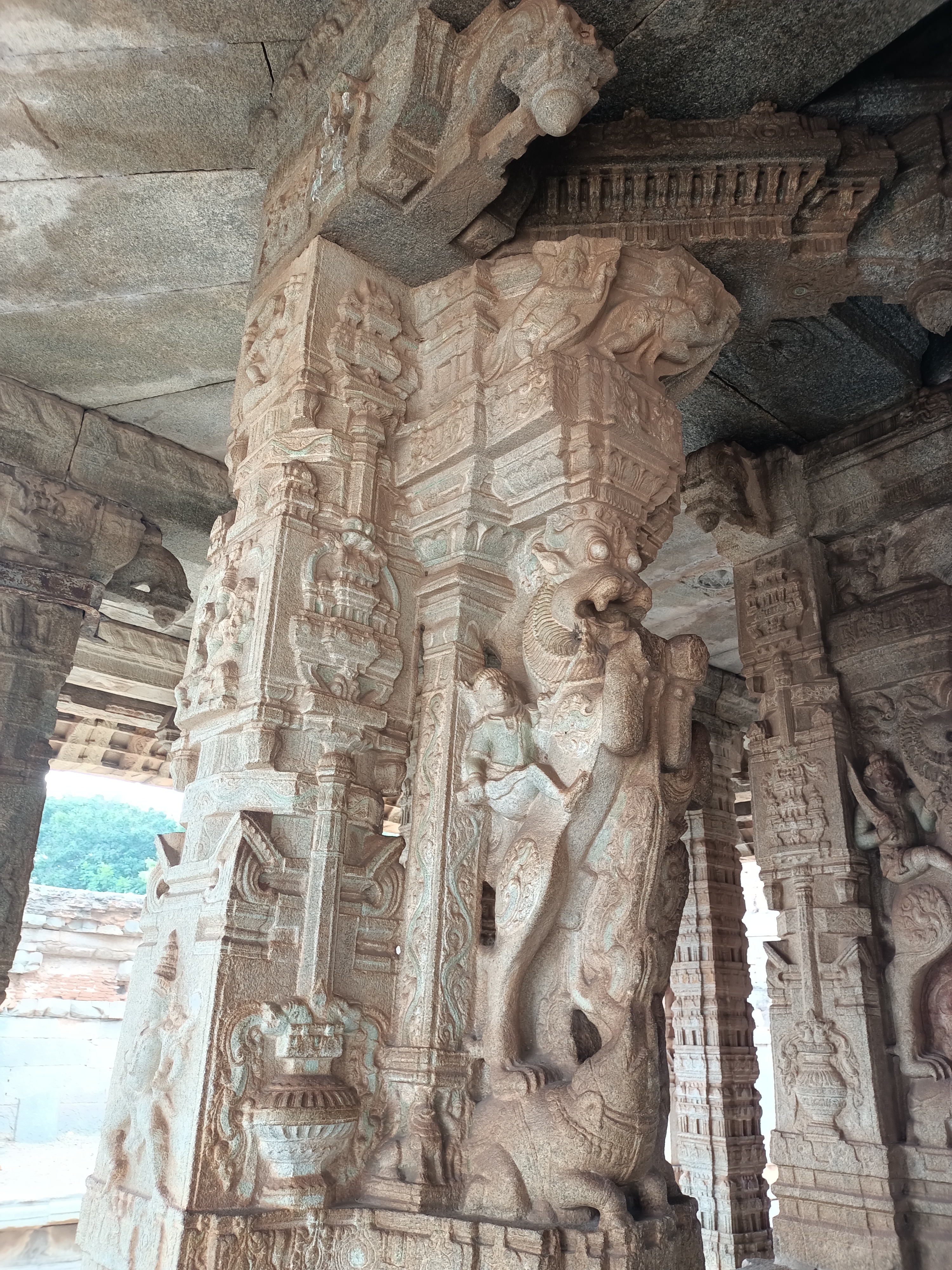 Гоа: Незабываемое путешествие (68/86)