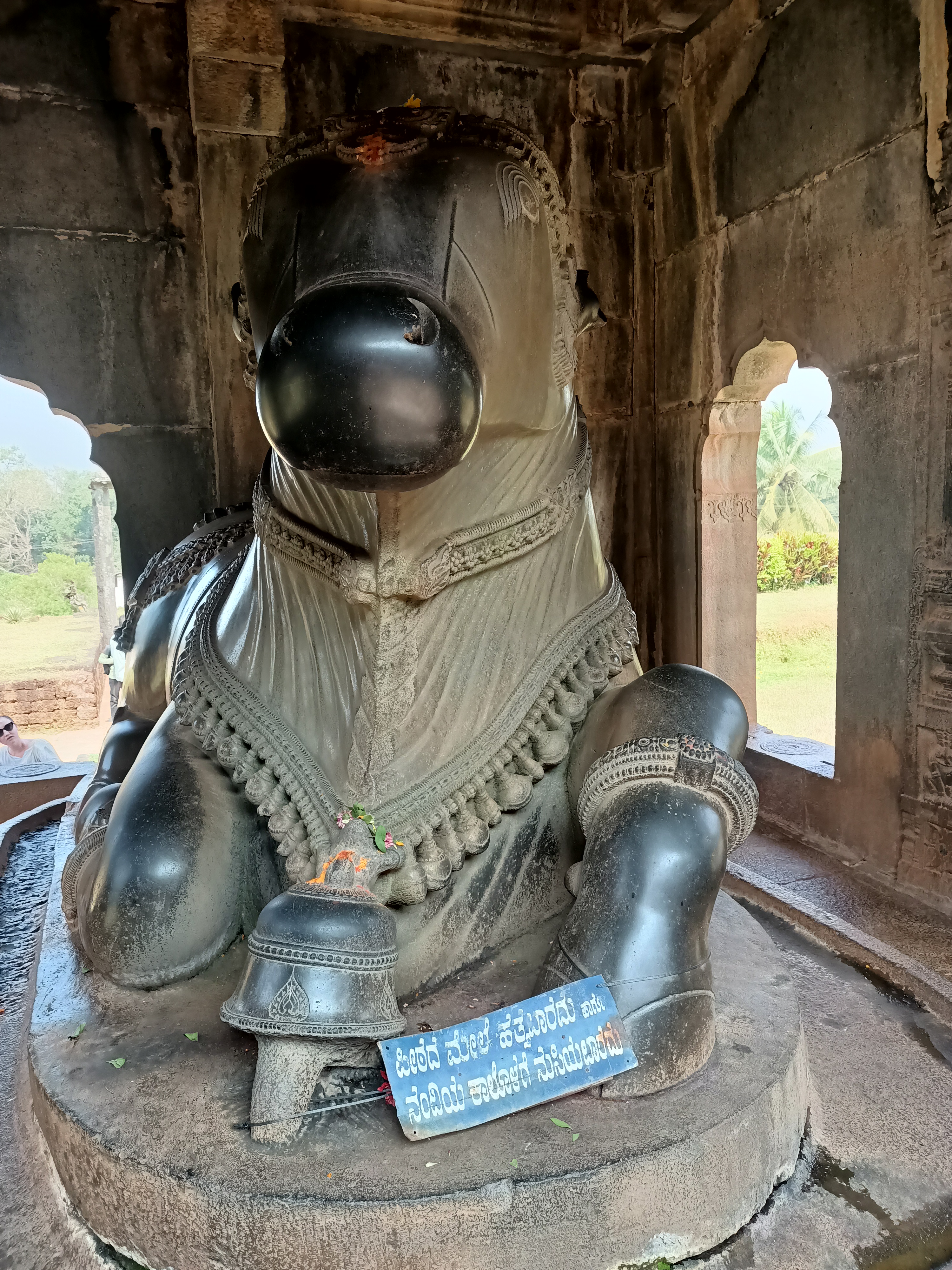 Гоа: Незабываемое путешествие (47/86)