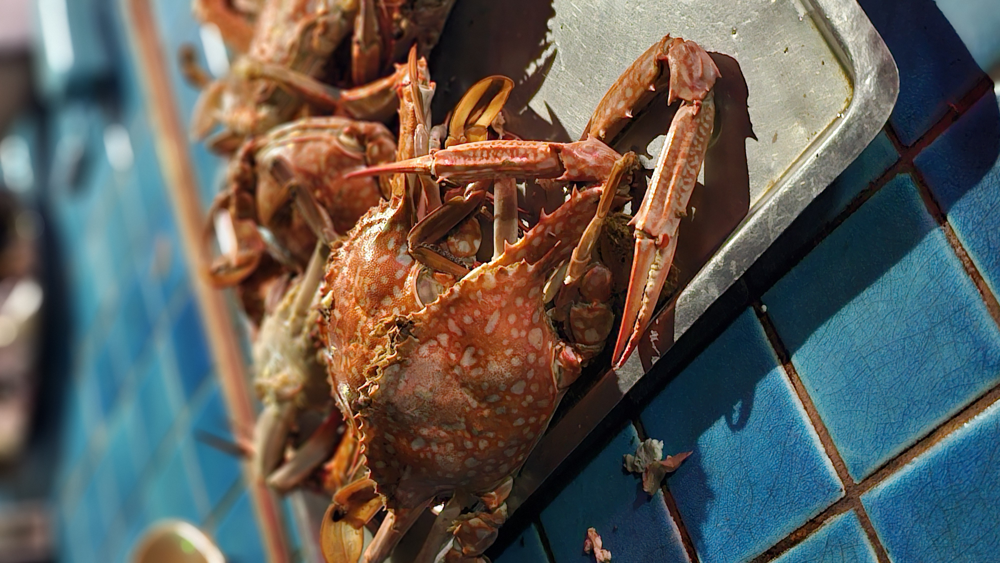 Гоа: Незабываемое путешествие (31/86)