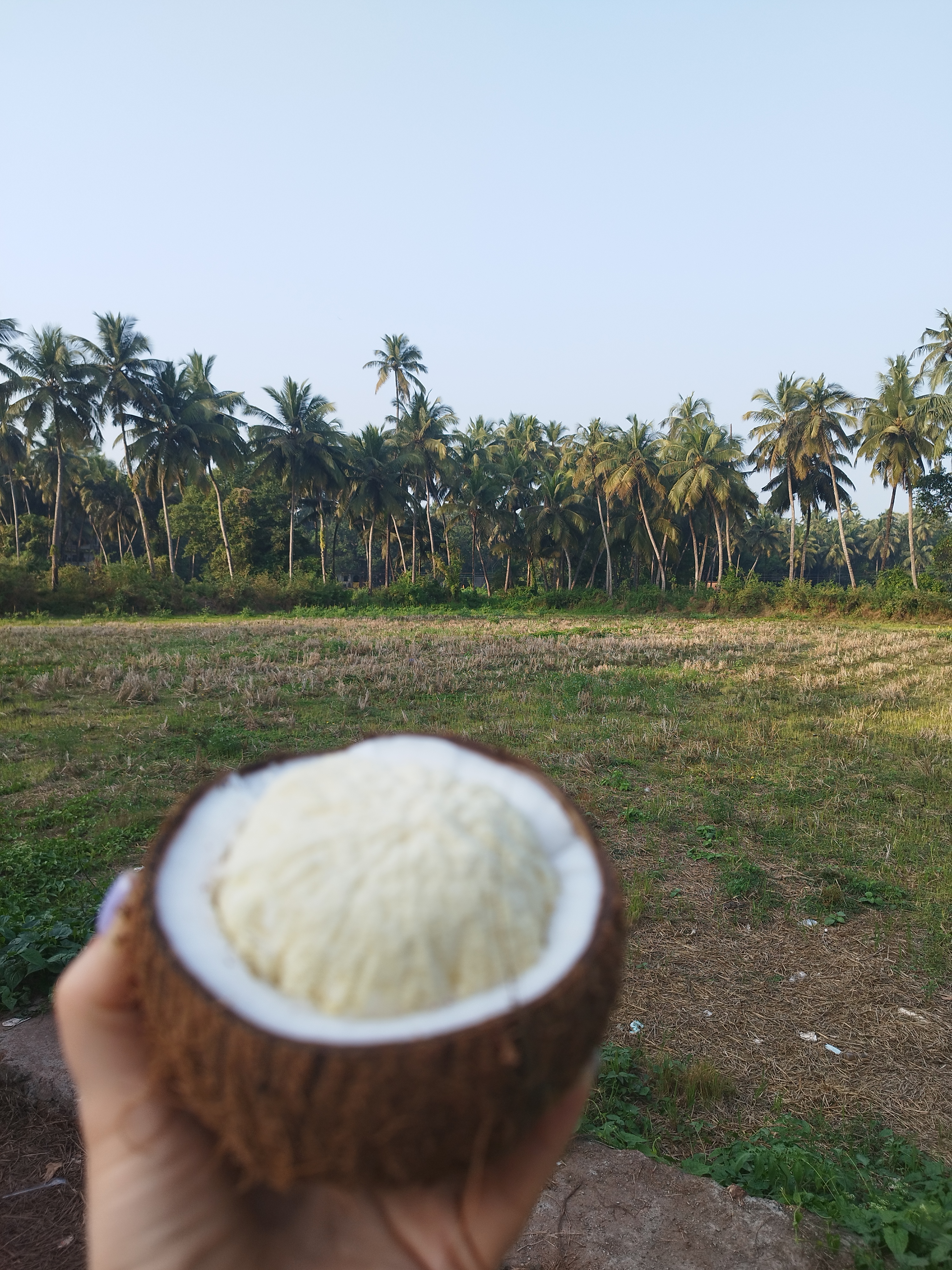 Гоа: Незабываемое путешествие (74/86)