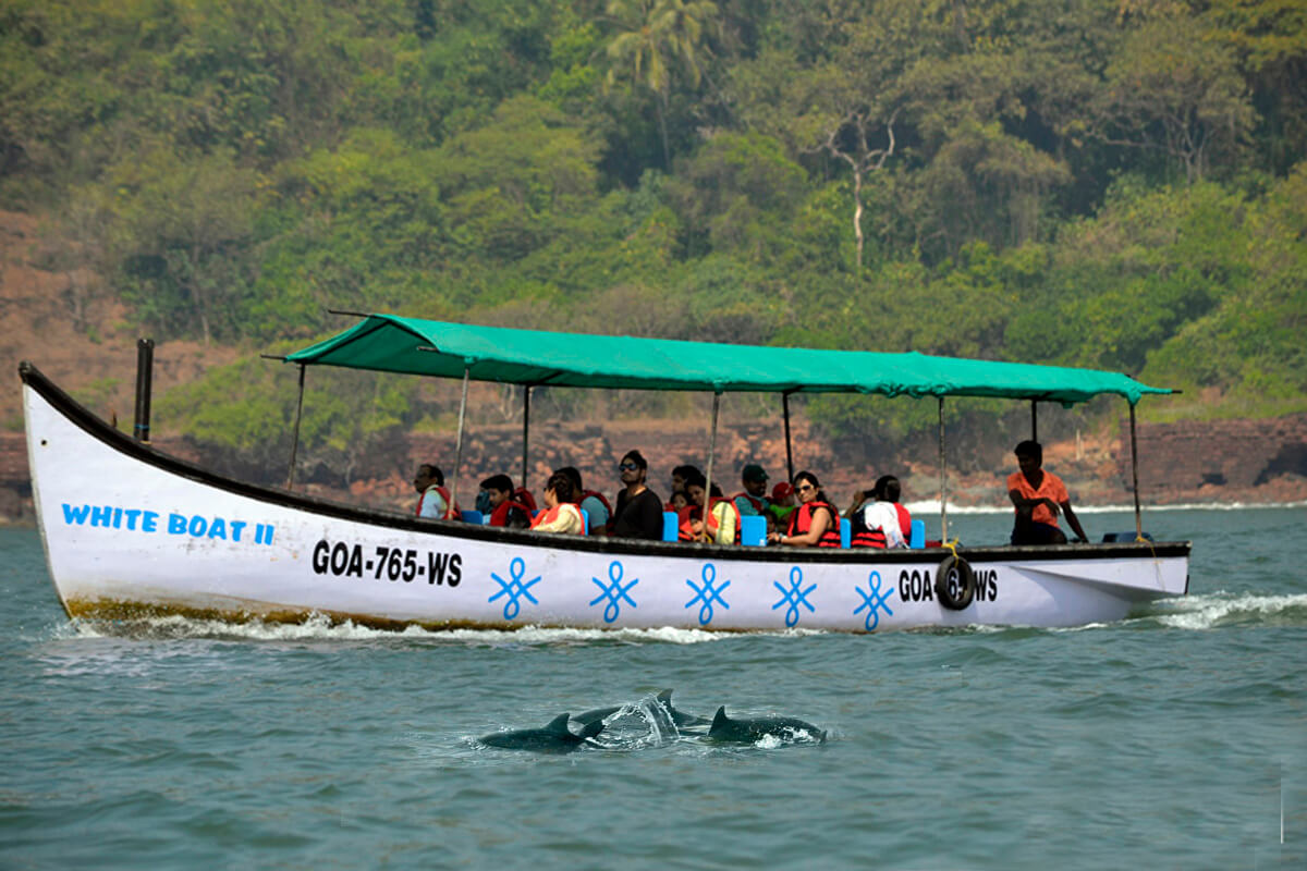 Гоа: Незабываемое путешествие (85/86)