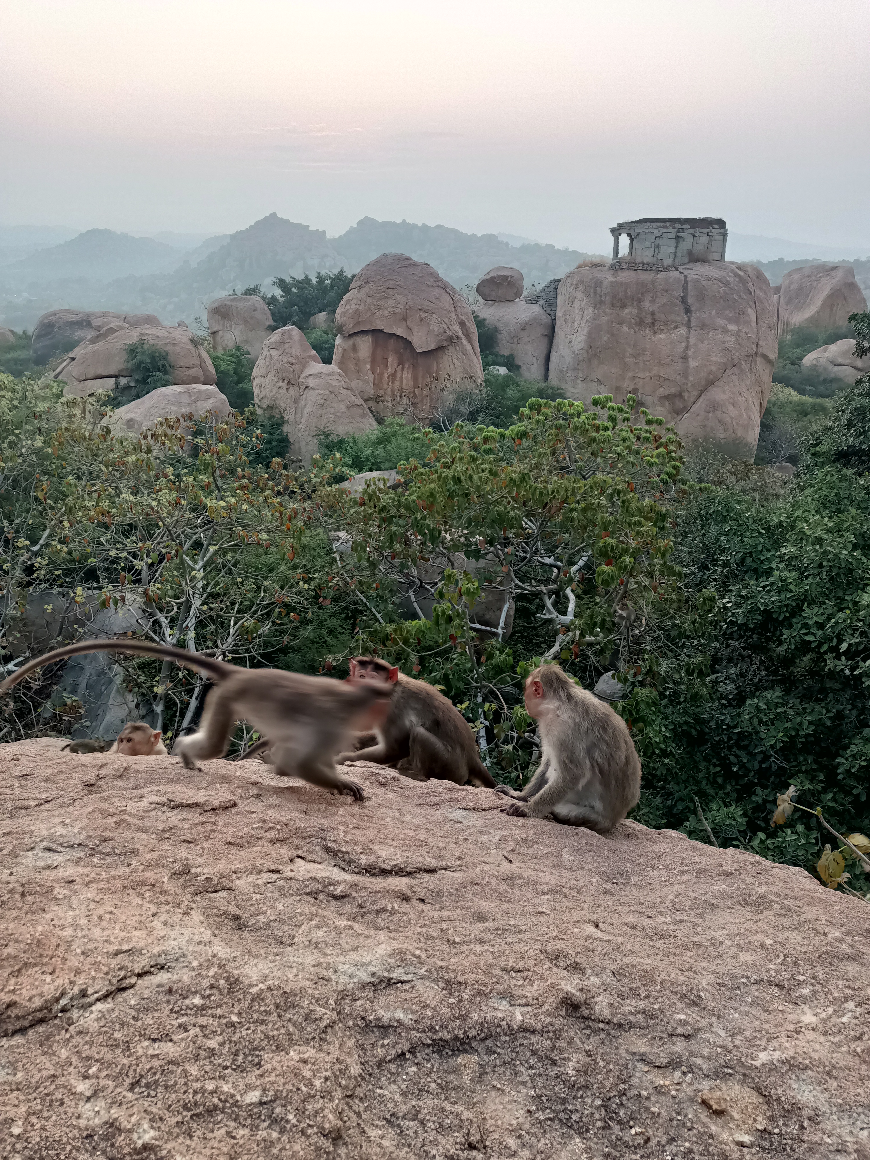 Гоа: Незабываемое путешествие (60/86)