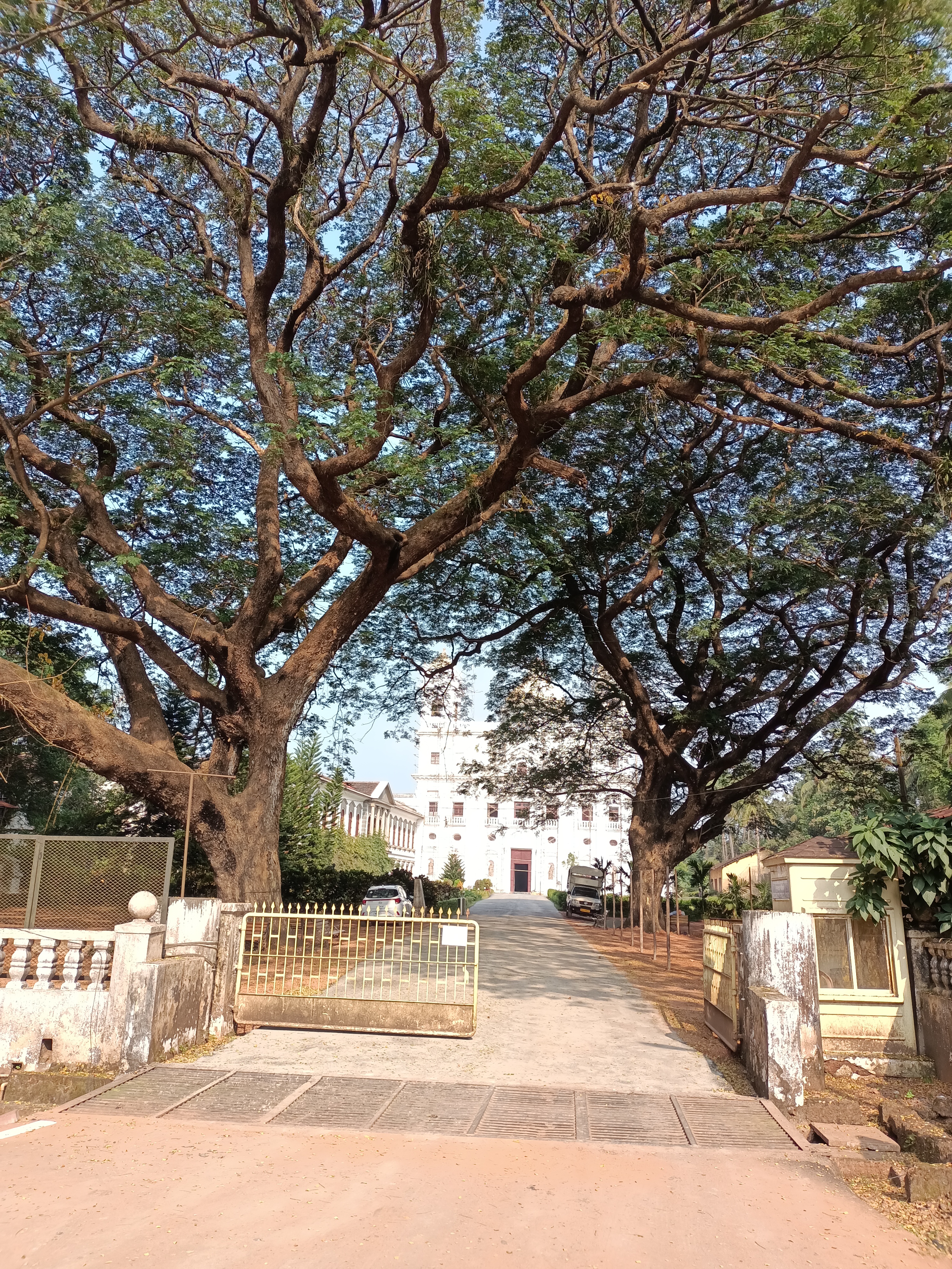 Гоа: Незабываемое путешествие (45/86)