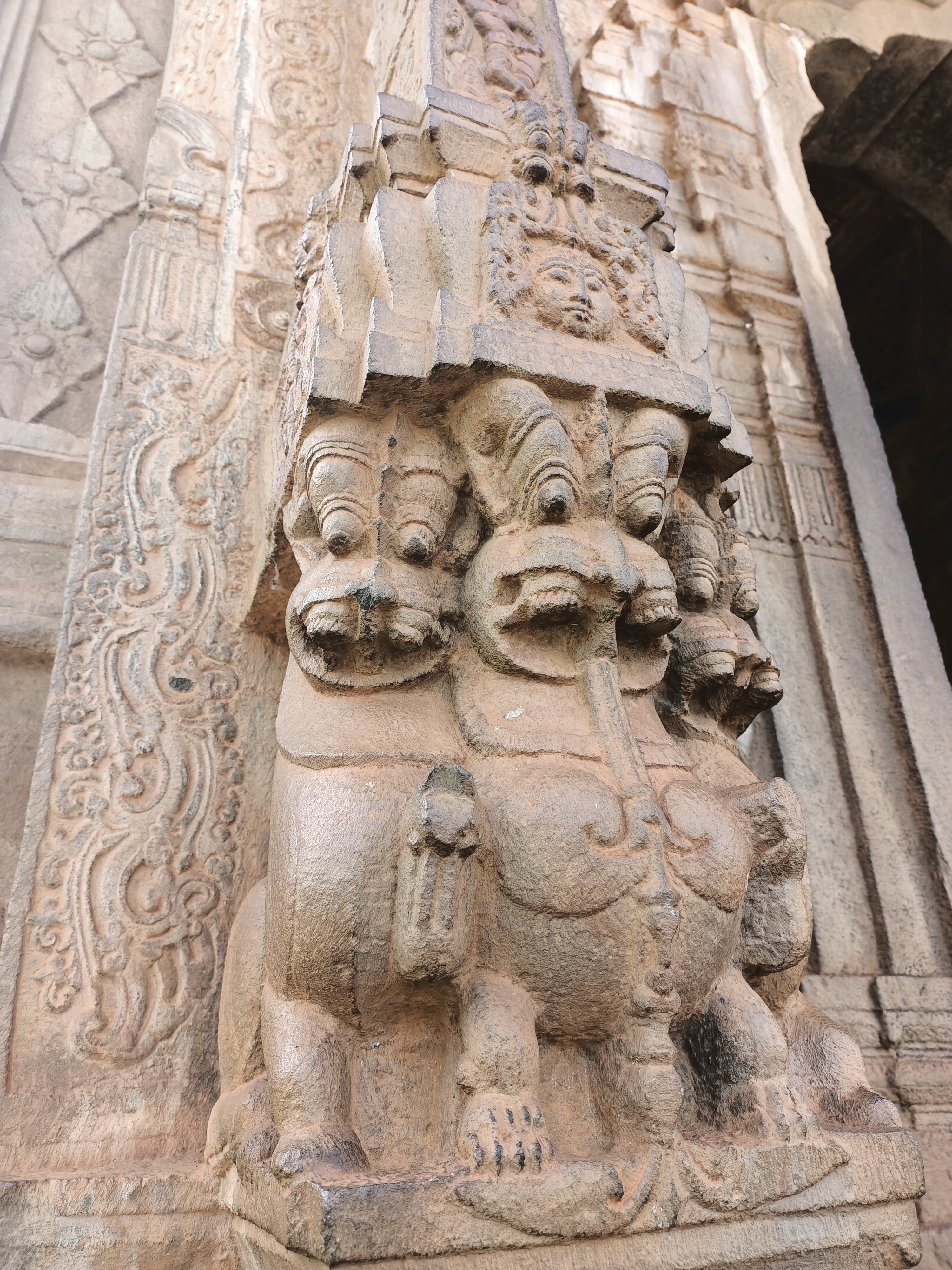 Гоа: Незабываемое путешествие (46/86)