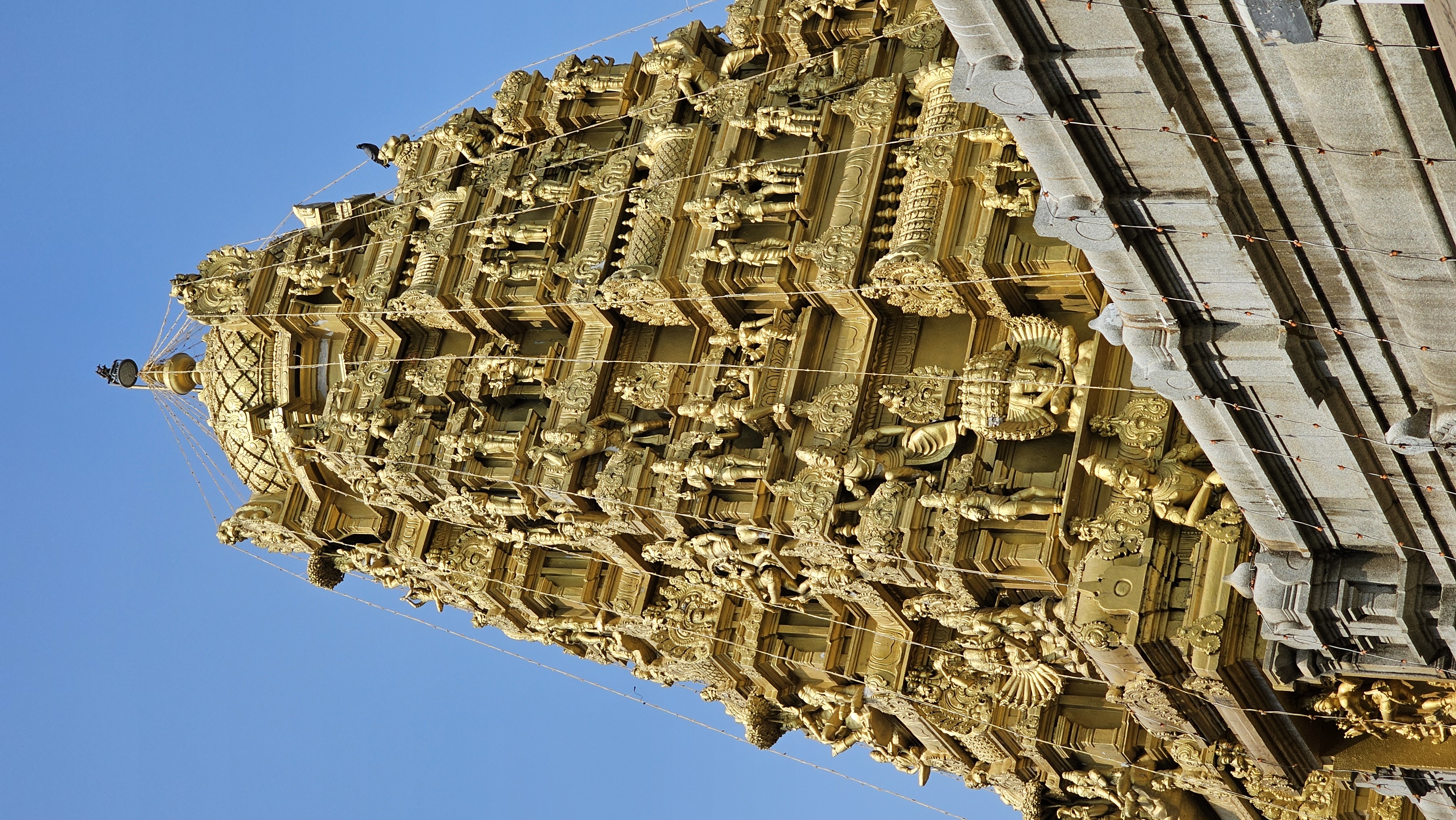 Гоа: Незабываемое путешествие (35/86)