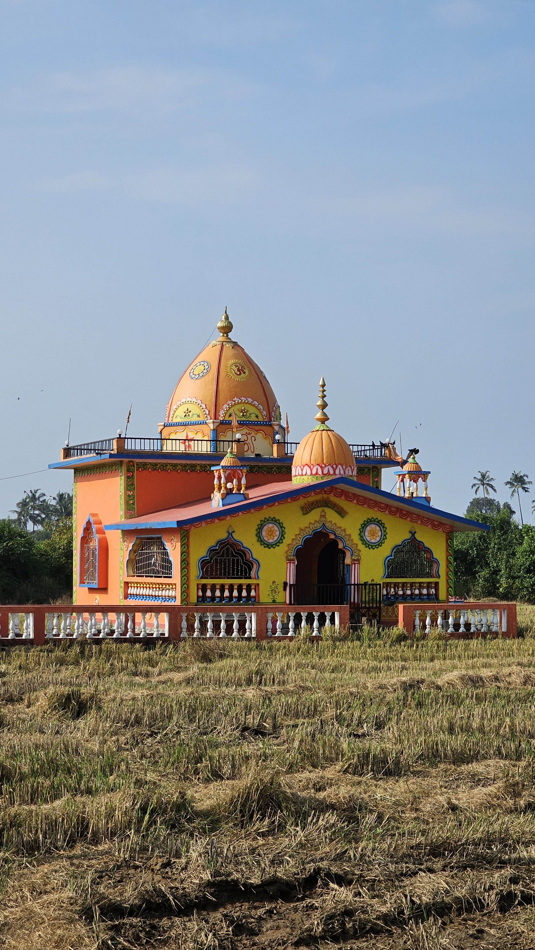 Гоа: Незабываемое путешествие (23/86)