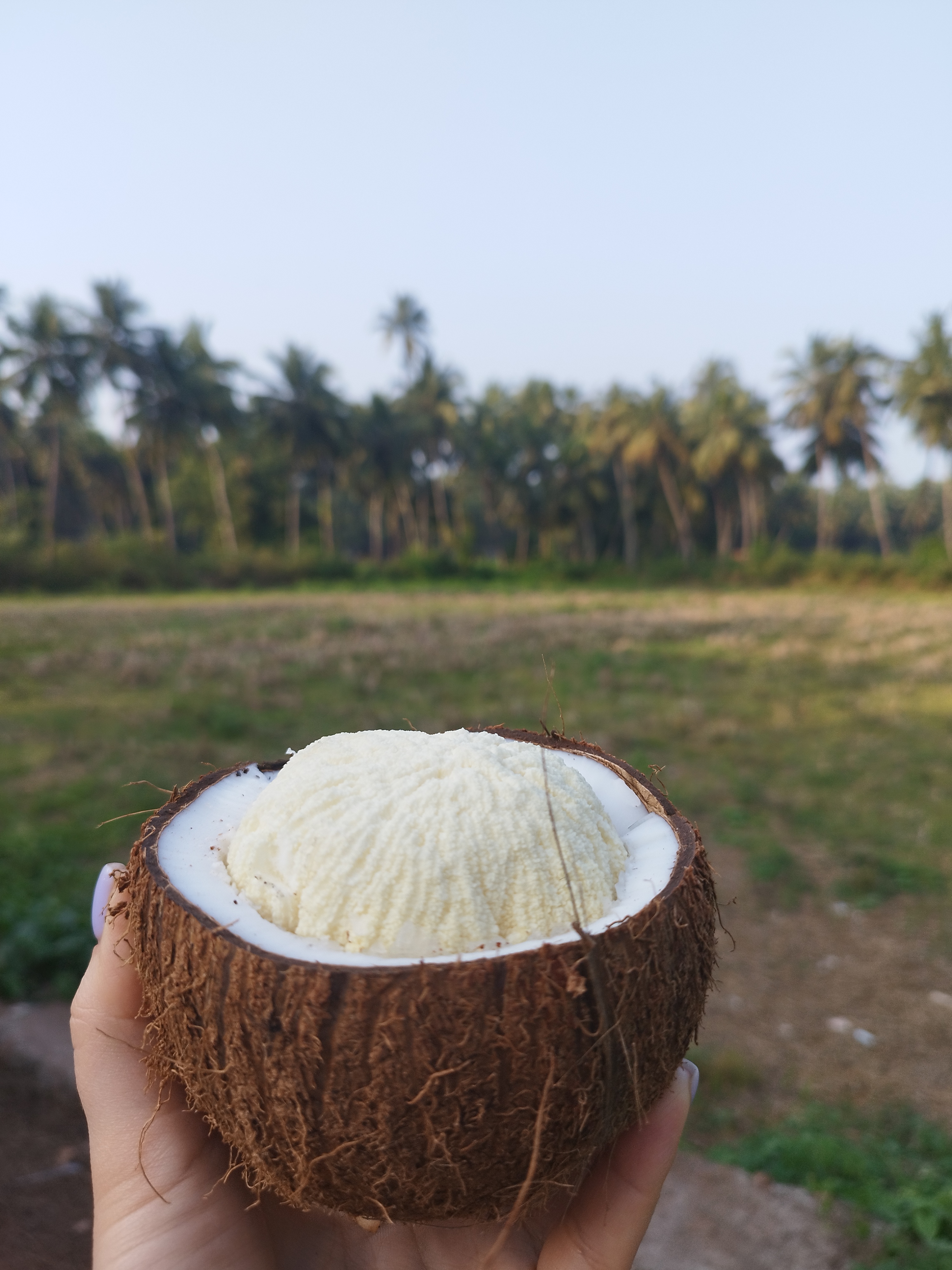 Гоа: Незабываемое путешествие (86/86)