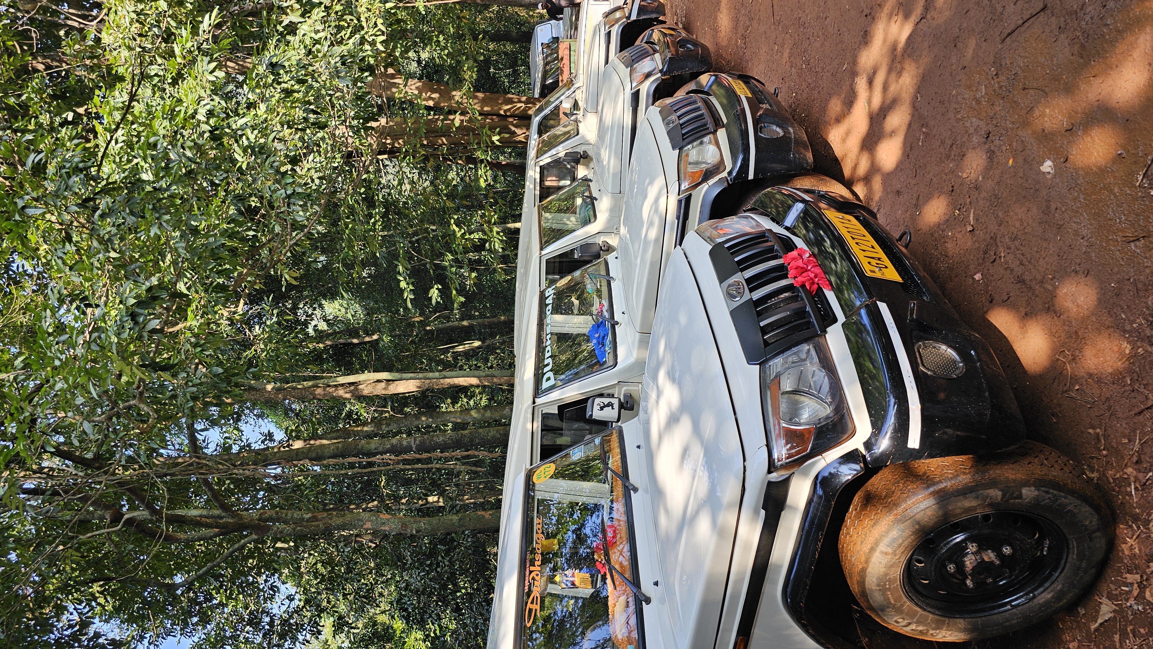 Гоа: Незабываемое путешествие (27/86)