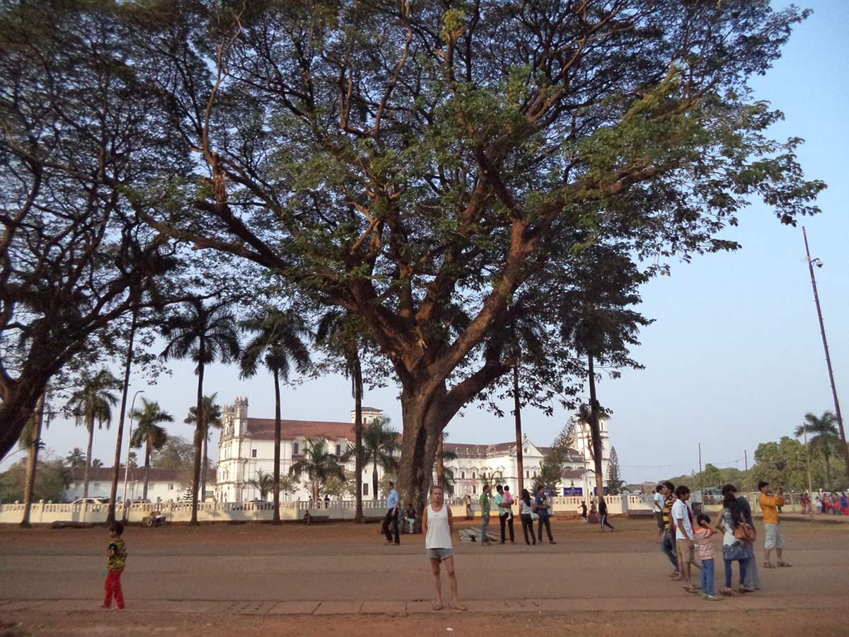 Гоа: Незабываемое путешествие (80/86)