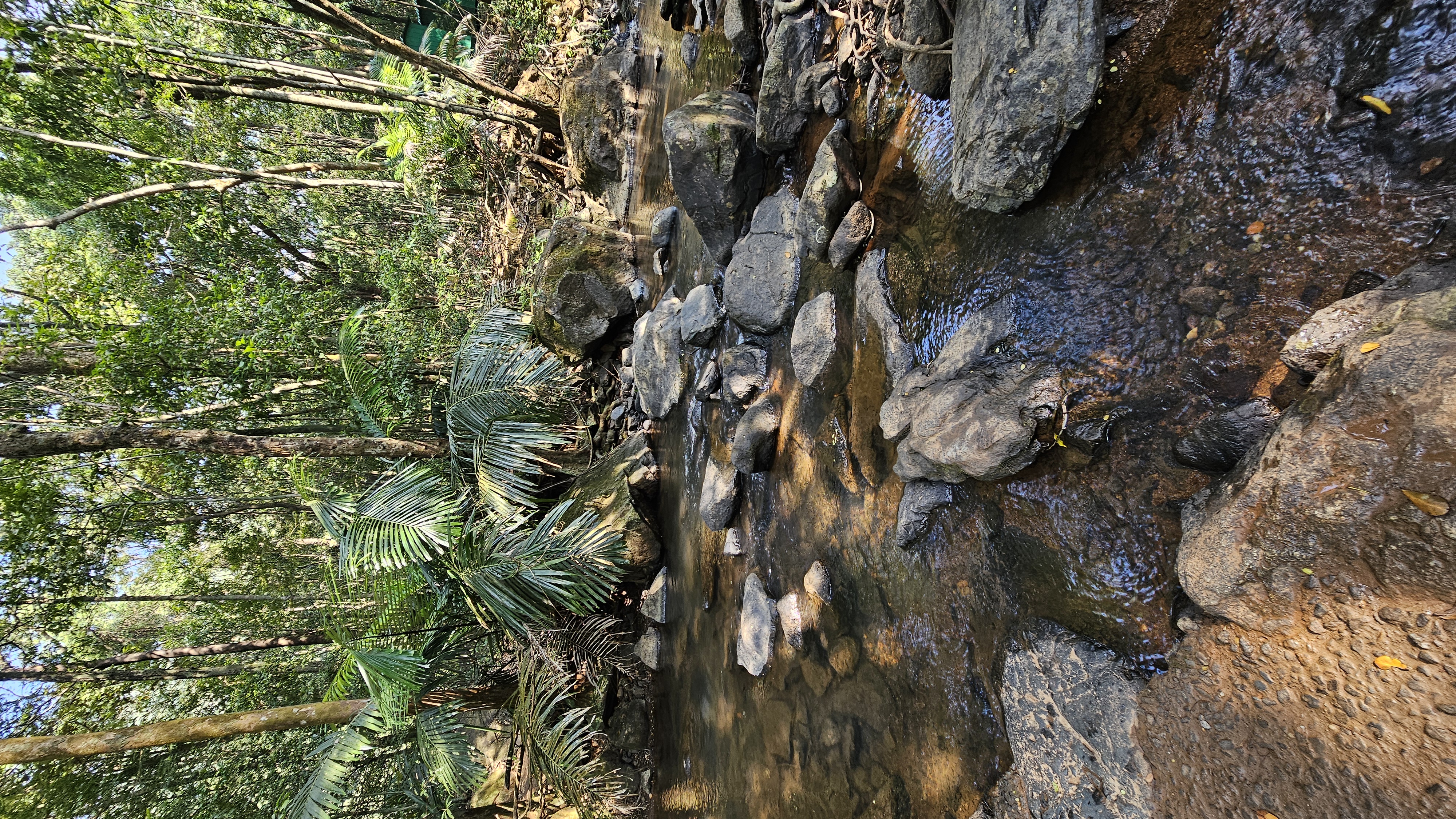 Гоа: Незабываемое путешествие (28/86)