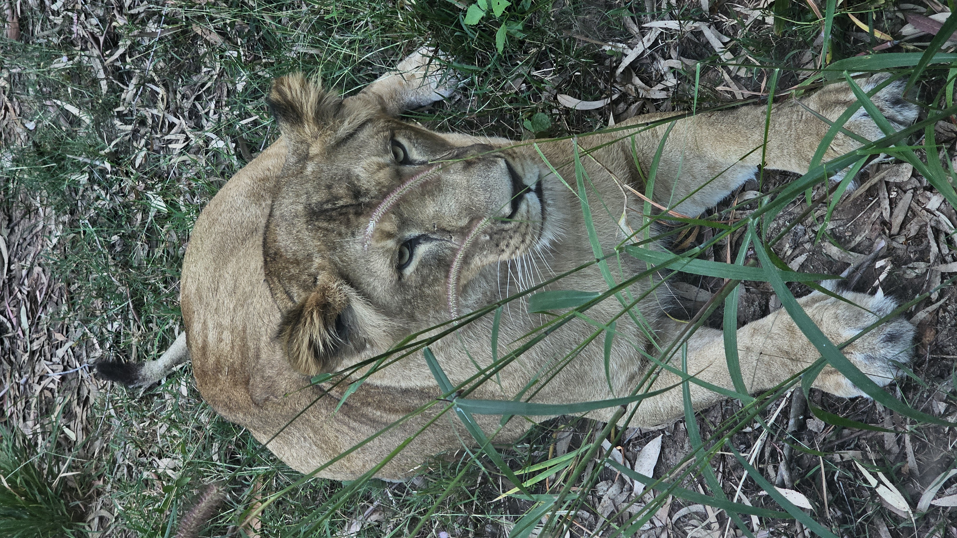 Гоа: Незабываемое путешествие (37/86)