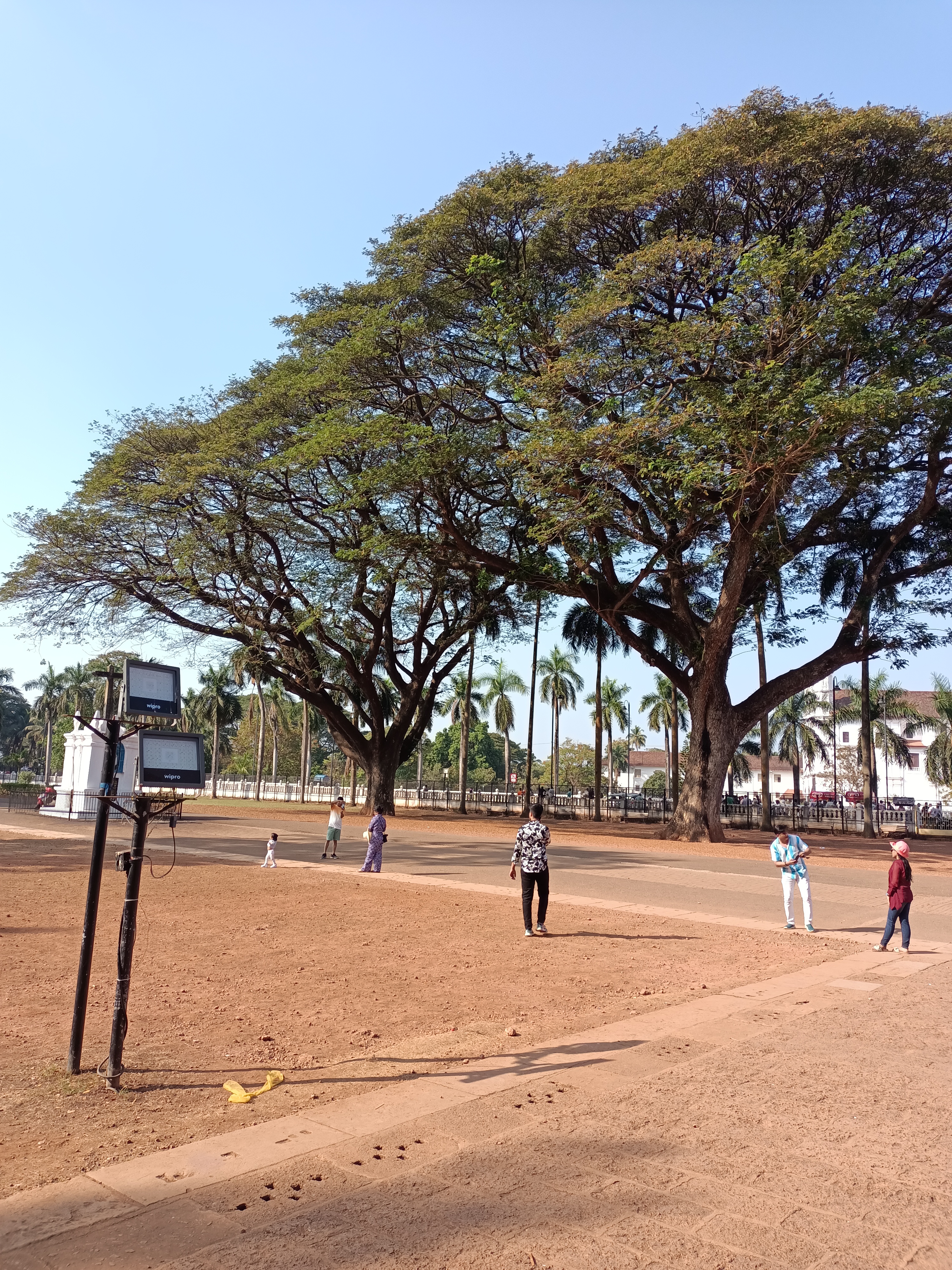 Гоа: Незабываемое путешествие (81/86)