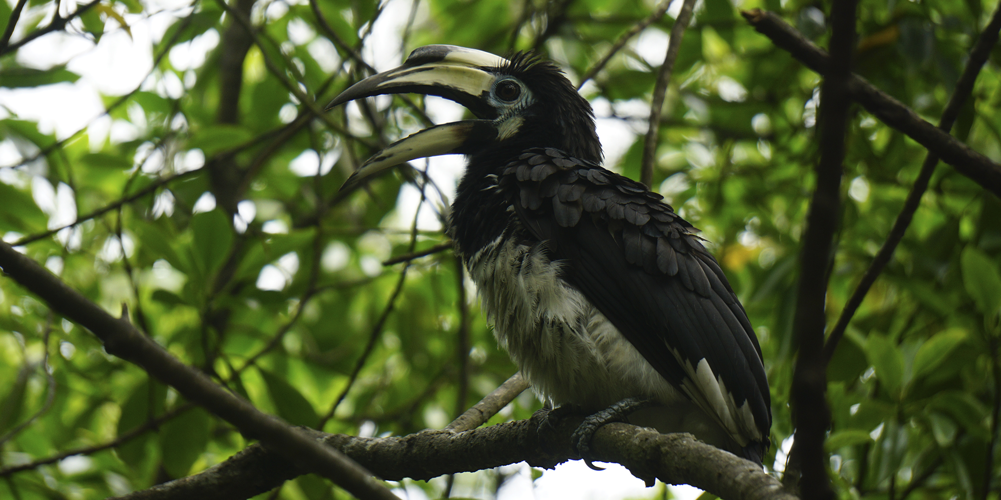 Гоа: Незабываемое путешествие (67/86)