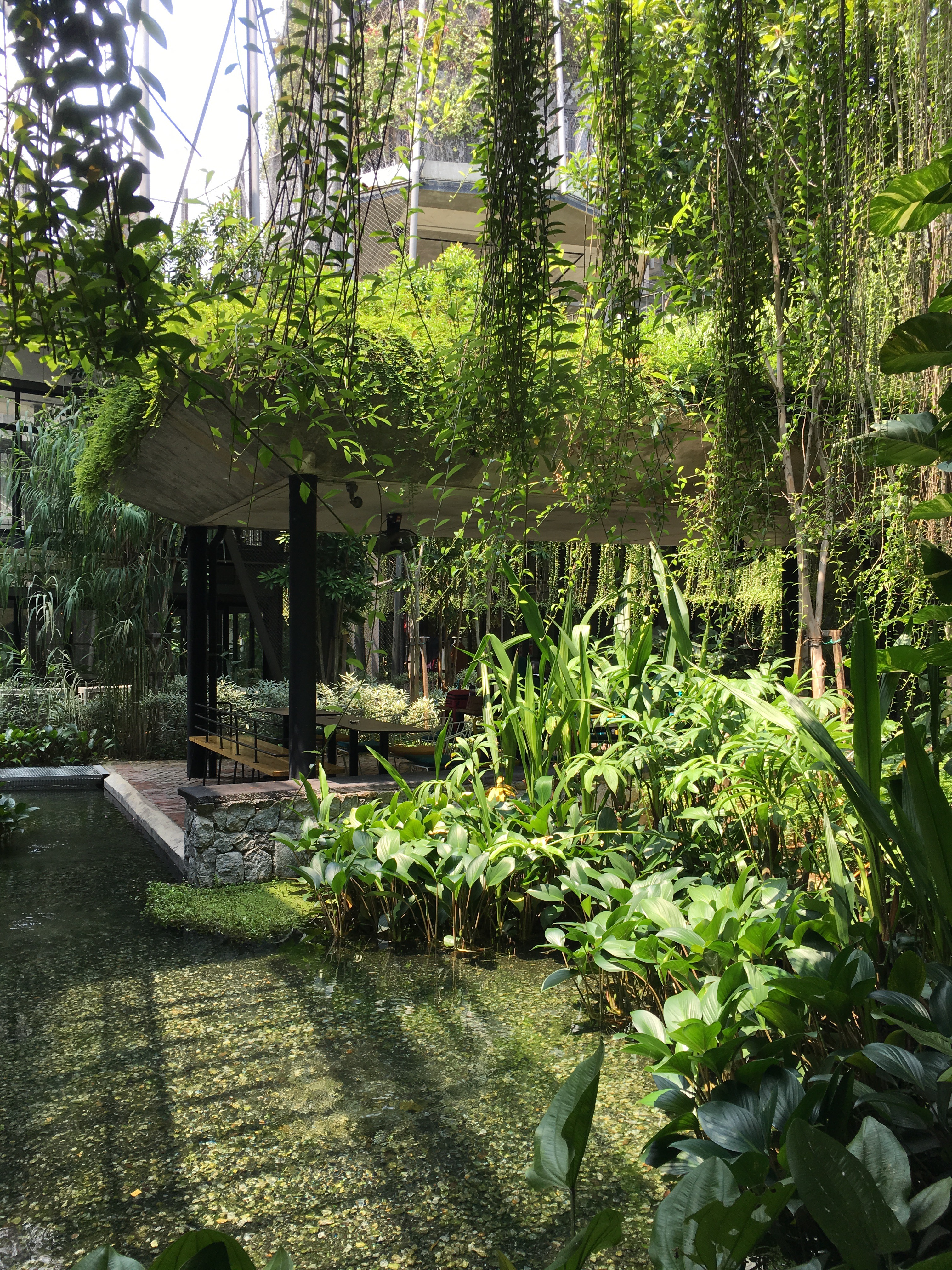 Малайзия: Куала-Лумпур, Малакка, Ай-Пох, Камерунский холмы, Пенанг, о. Лангкави. (24/46)