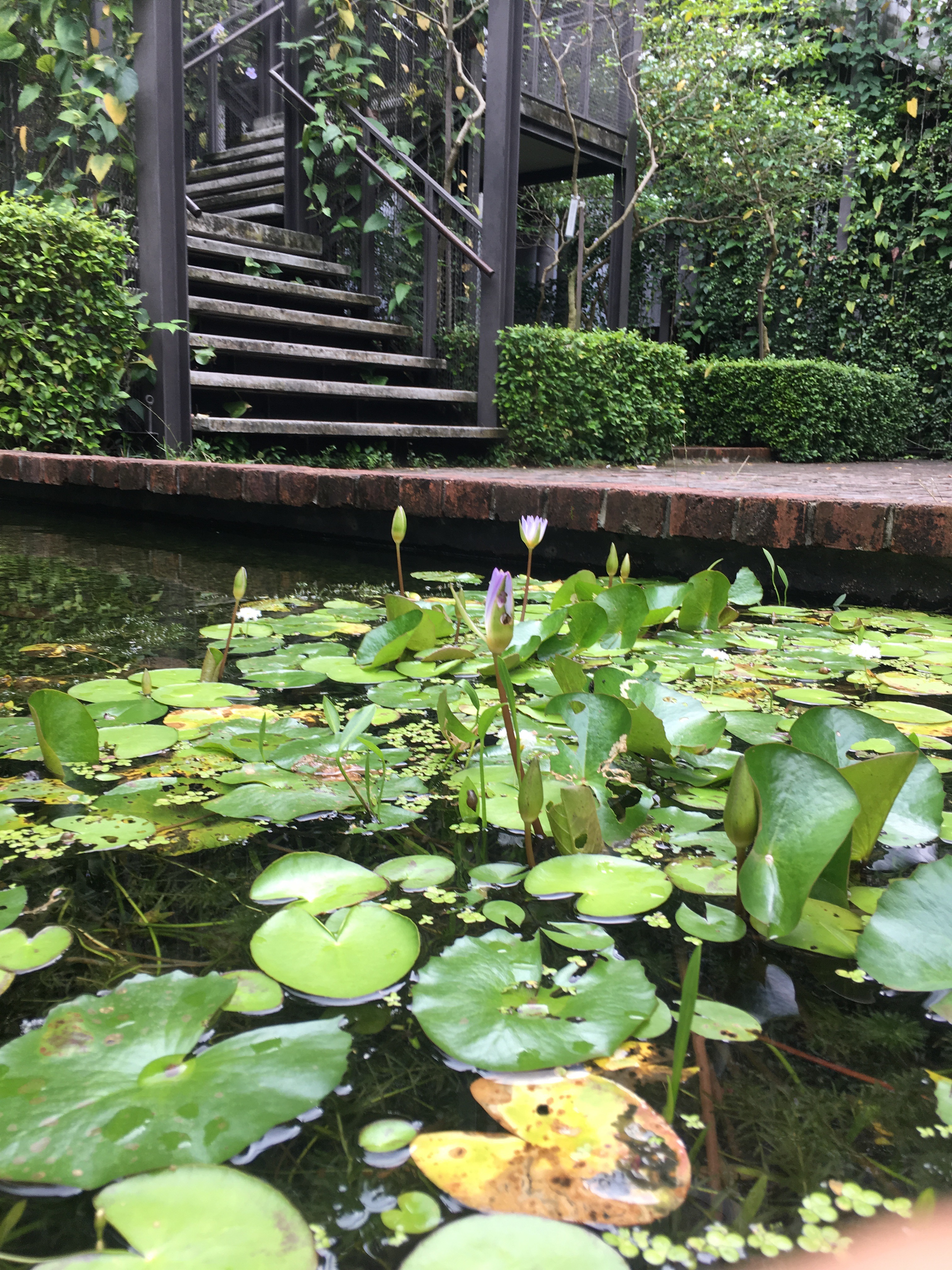 Малайзия: Куала-Лумпур, Малакка, Ай-Пох, Камерунский холмы, Пенанг, о. Лангкави. (19/46)