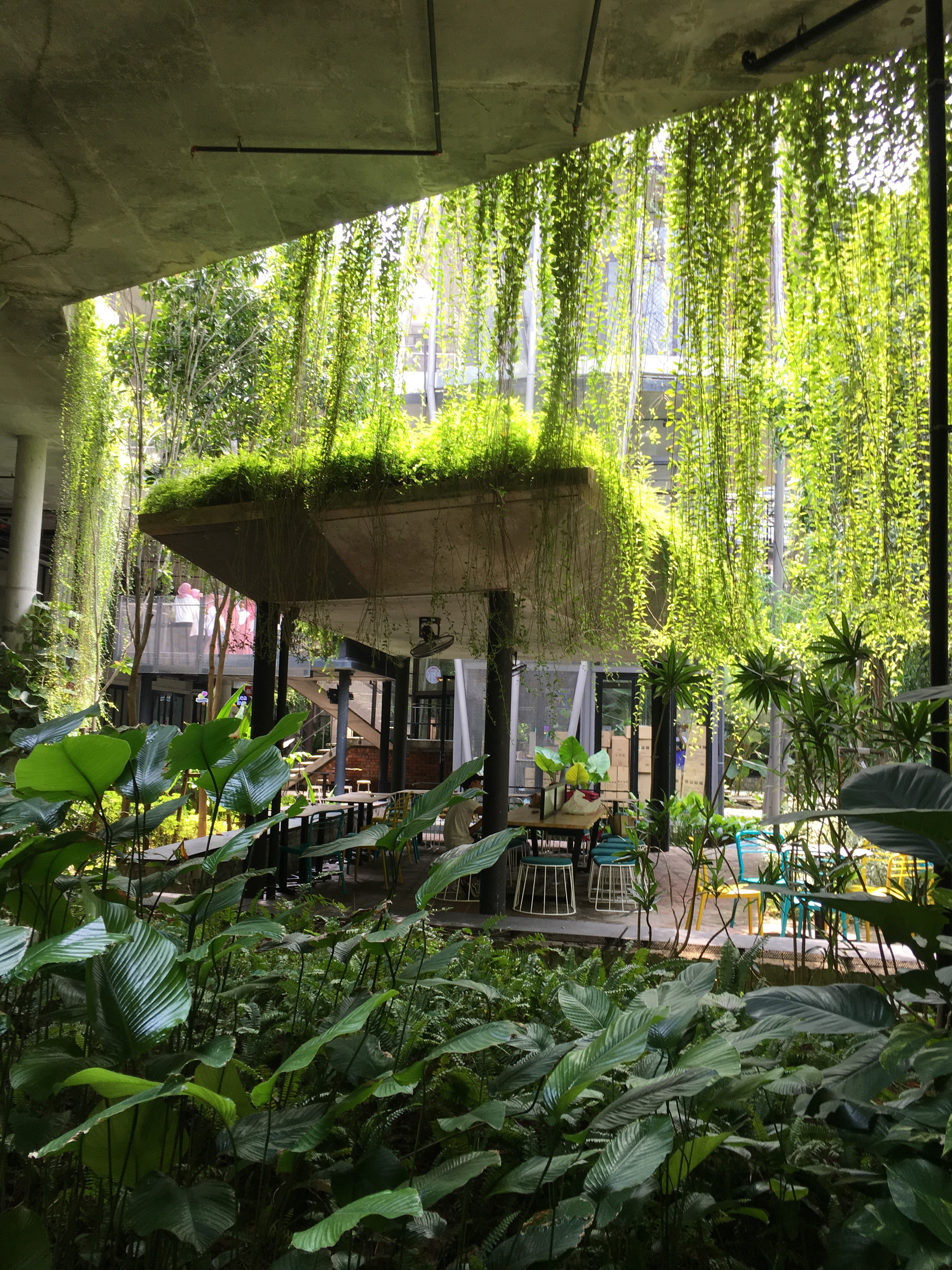 Малайзия: Куала-Лумпур, Малакка, Ай-Пох, Камерунский холмы, Пенанг, о. Лангкави. (20/46)