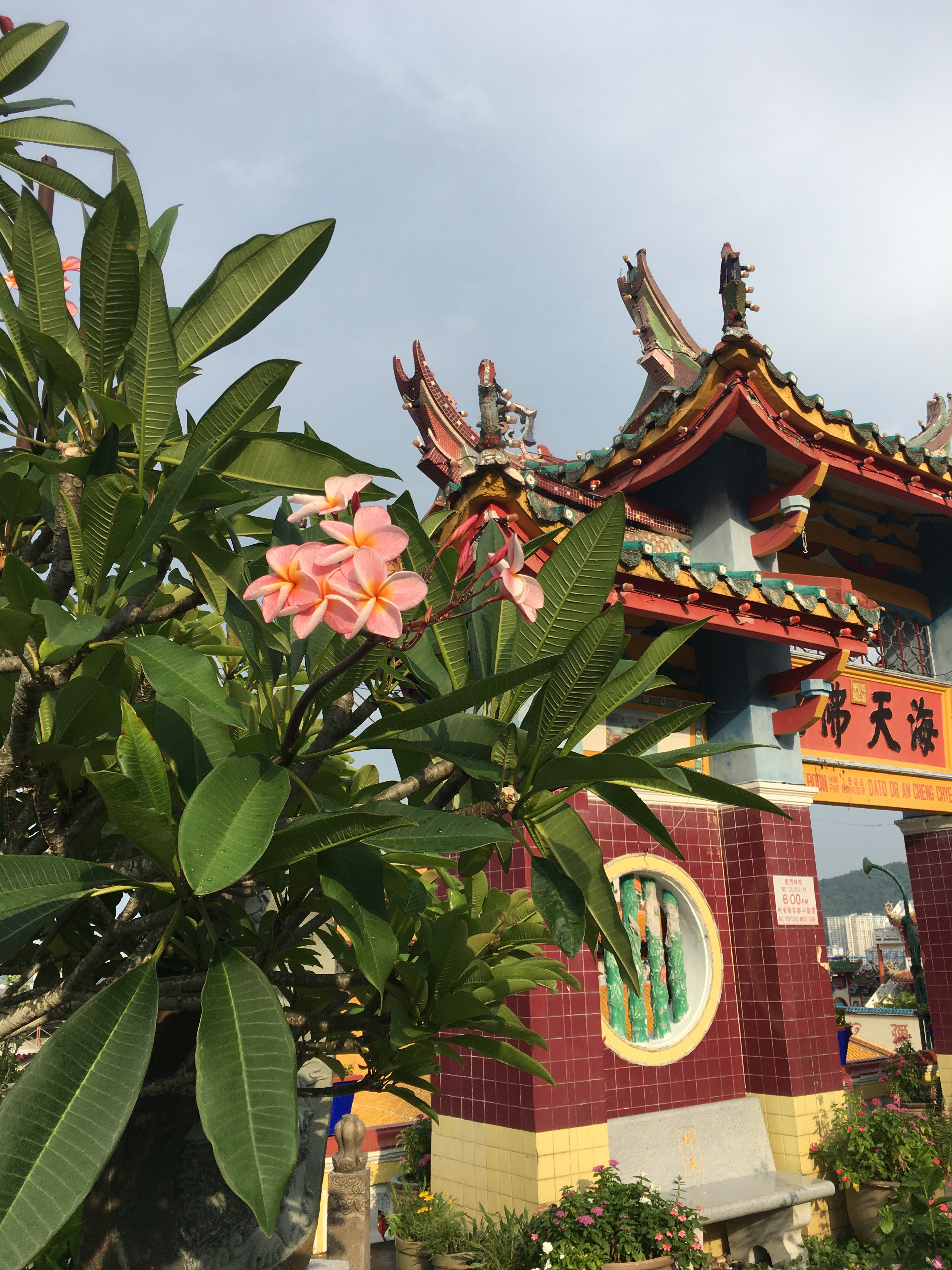 Малайзия: Куала-Лумпур, Малакка, Ай-Пох, Камерунский холмы, Пенанг, о. Лангкави. (17/46)