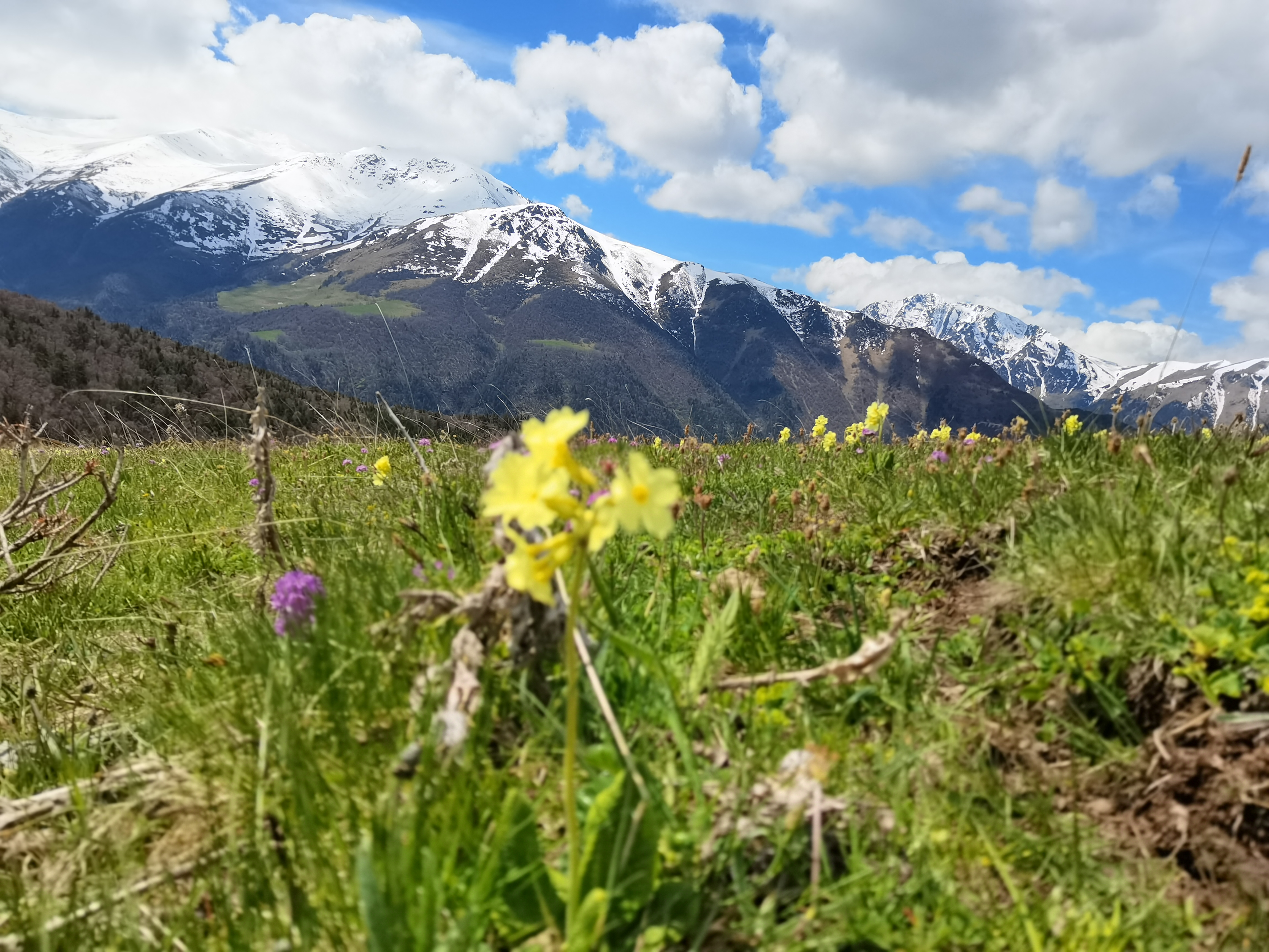 Весна на Кавказе (поход из Теберды в Архыз) (21/32)