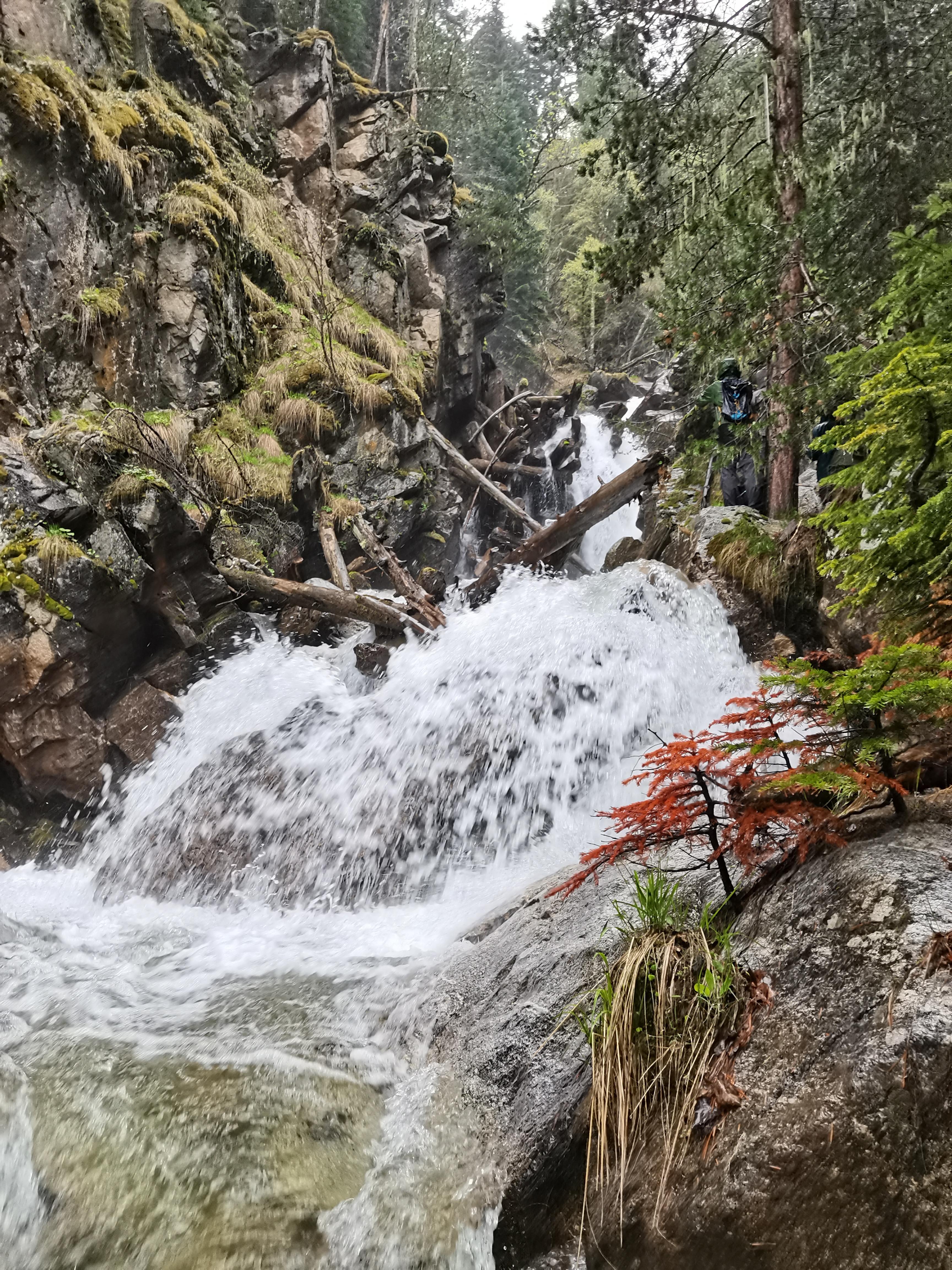 Весна на Кавказе (поход из Теберды в Архыз) (13/32)