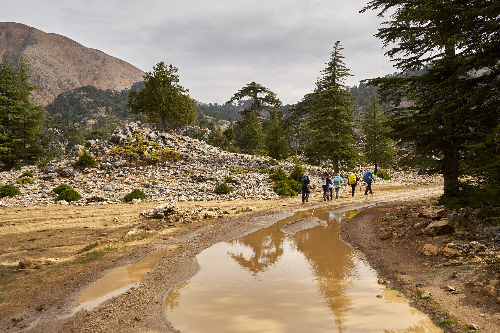 Без рюкзаков по Ликийской тропе: через горы к морю налегке, Турция поход - 7 дней (30/39)