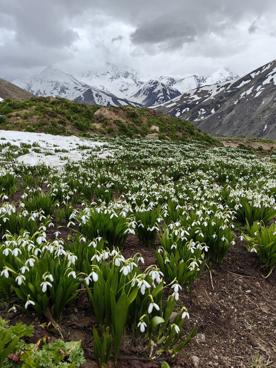 Осетинский Байкал-Зарамагское водохранилище.Зимний авторский тур в Осетию. (6/15)