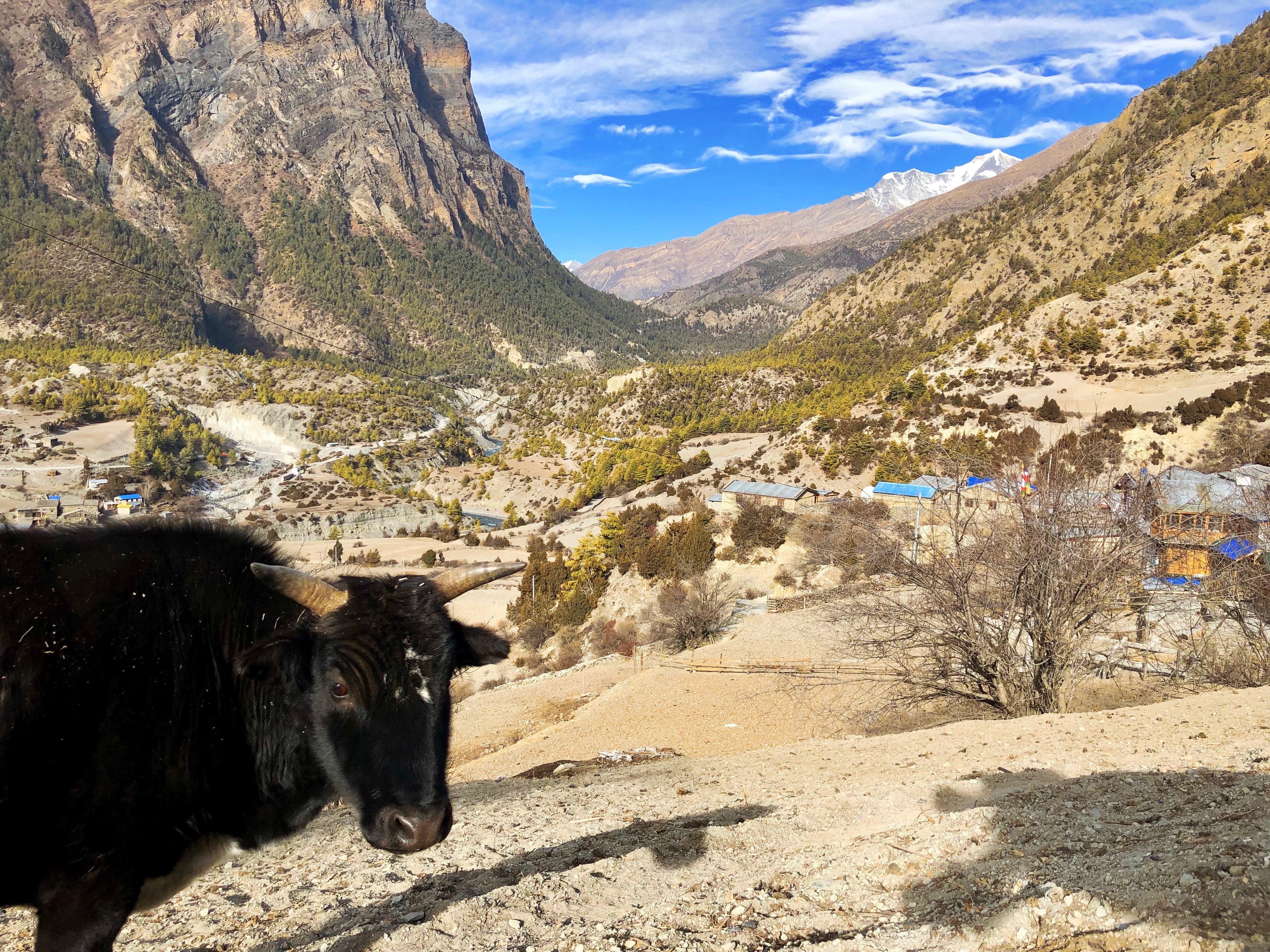 Дорога к Эвересту + Озёра Гокио (56/74)