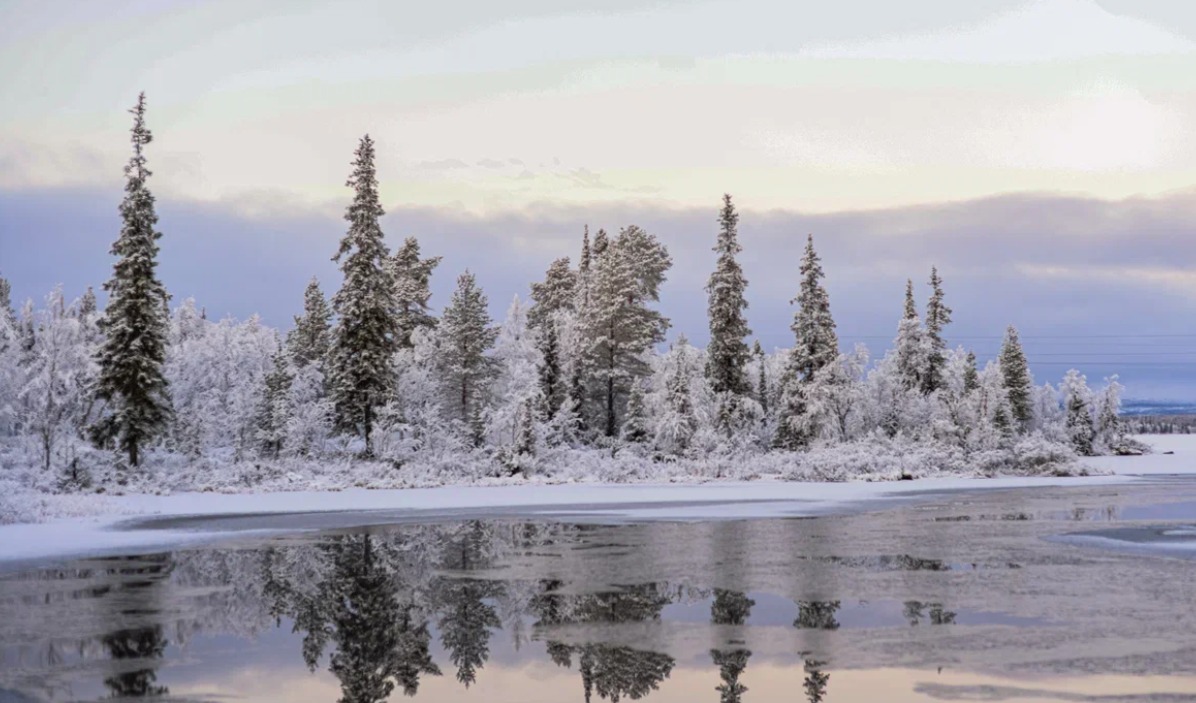 Териберка - Северное Сияние, Океан, Киты. (58/70)