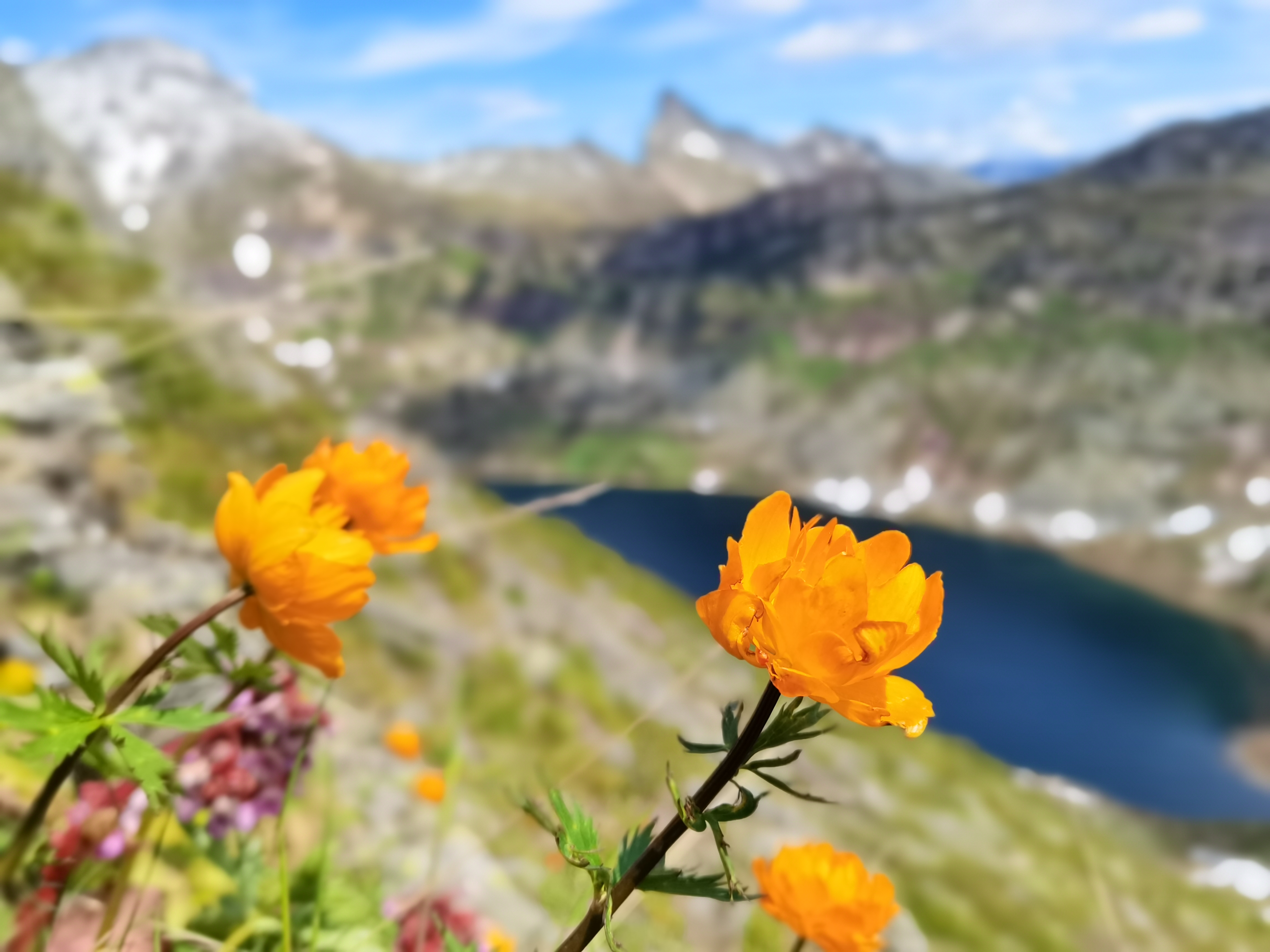 Загадочные Ергаки (горный лагерь) (6/18)