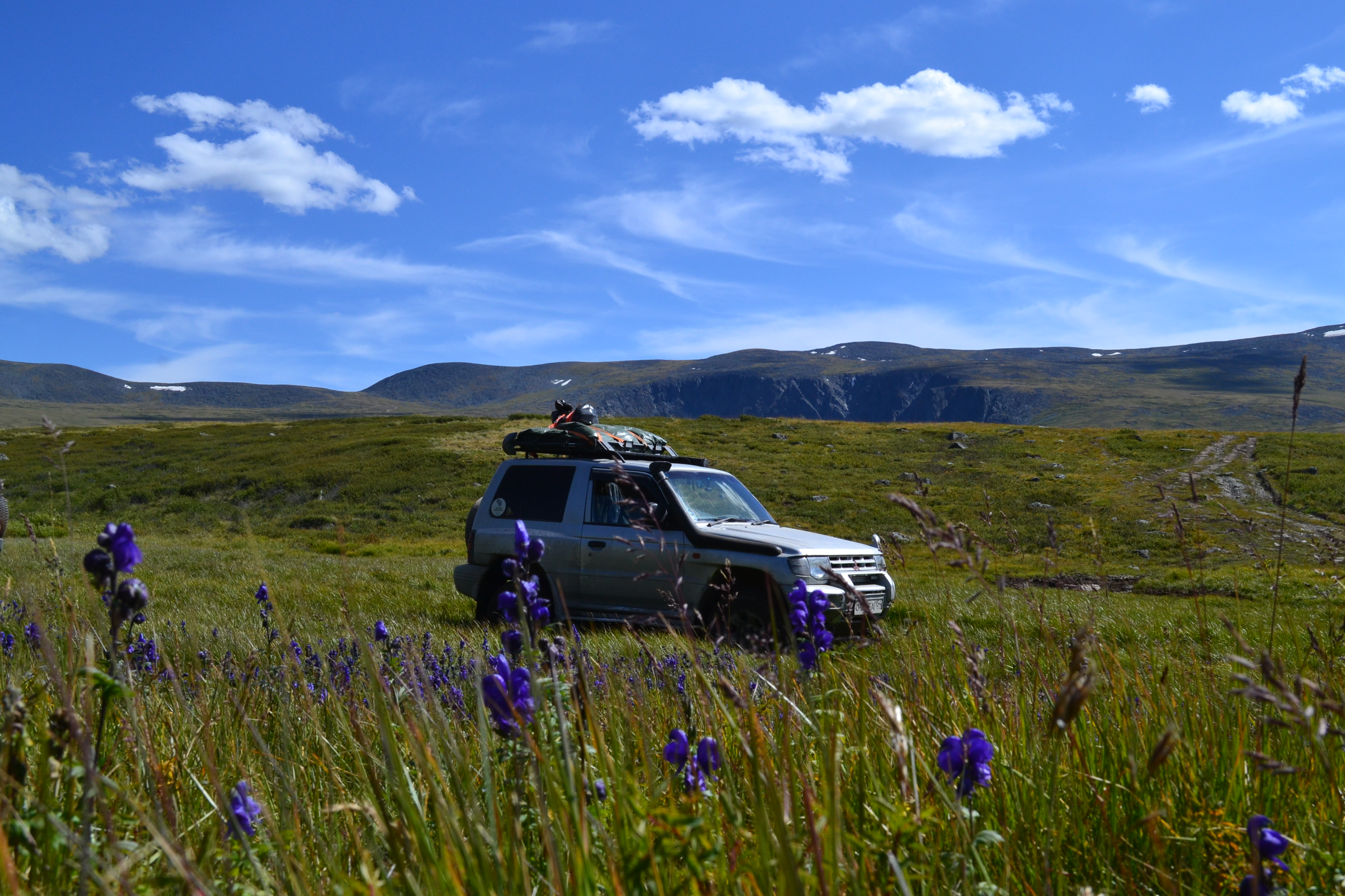 Алтайская Высотка Авто тур (2/46)