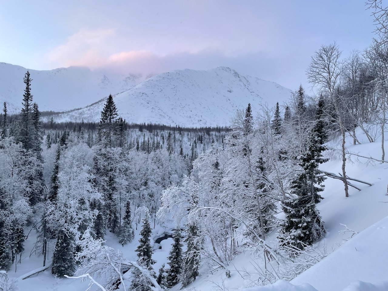 Териберка - Северное Сияние, Океан, Киты. (67/70)