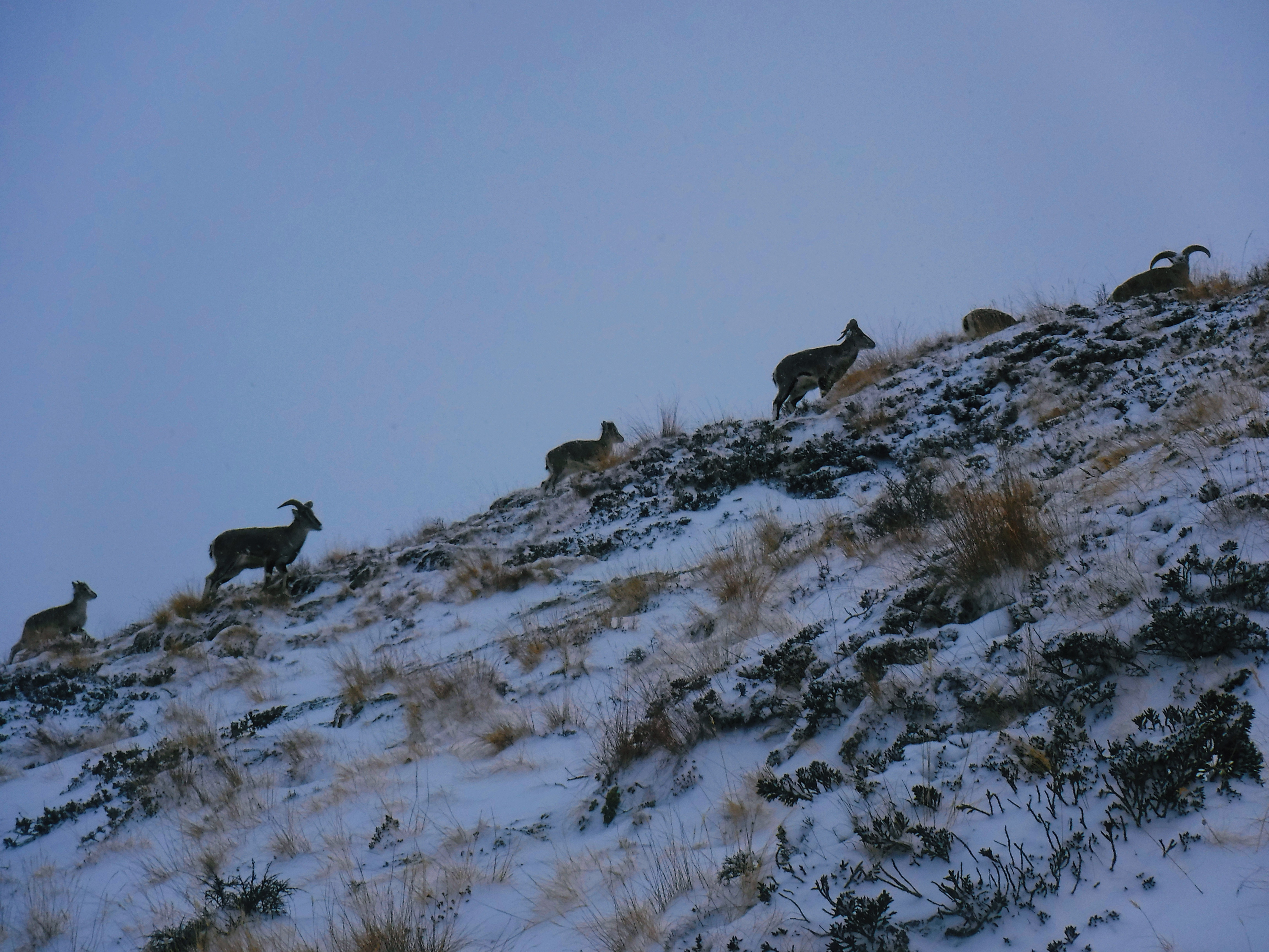 Дорога к Эвересту + Озёра Гокио (50/74)