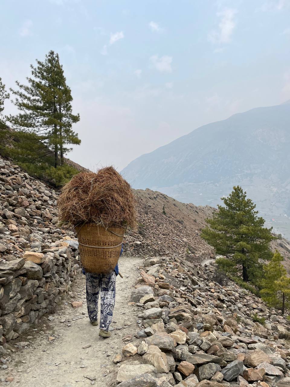 Непал. Трек вокруг Аннапурны с озером Тиличо (13/23)