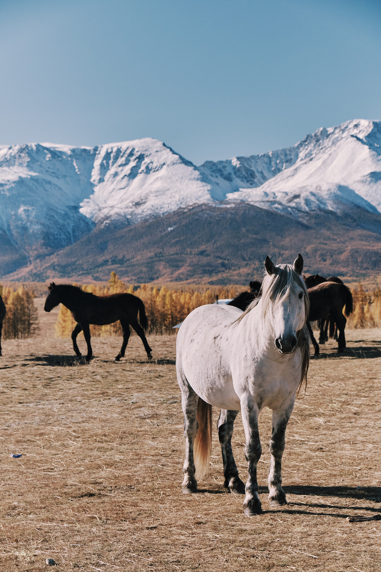 Автотур Красота Маральника, 3 дня (4/15)