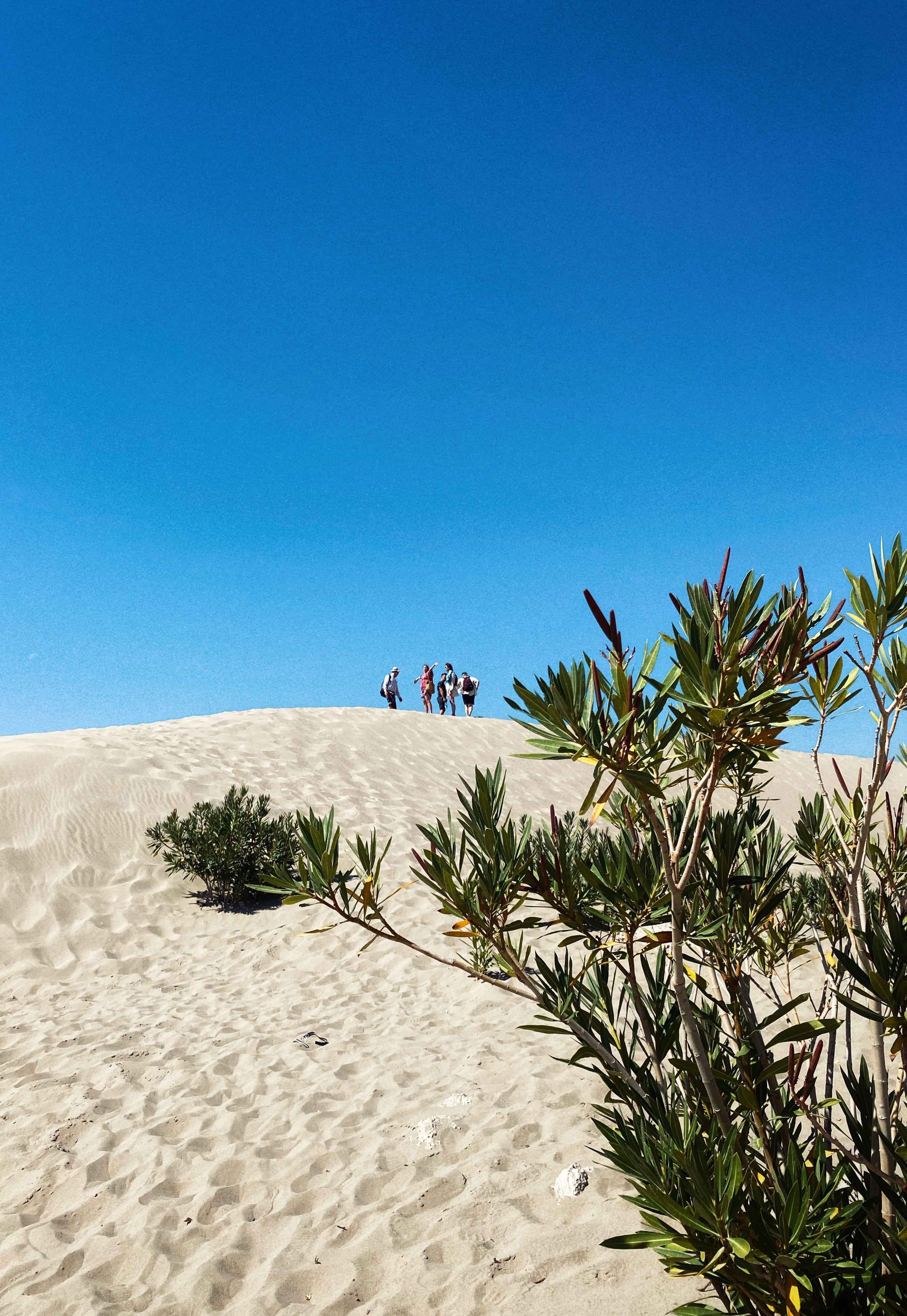 Турецкая Романтика: уютный Каш, деревня Чиралы, ликийская тропа, дюны Патары (2/57)