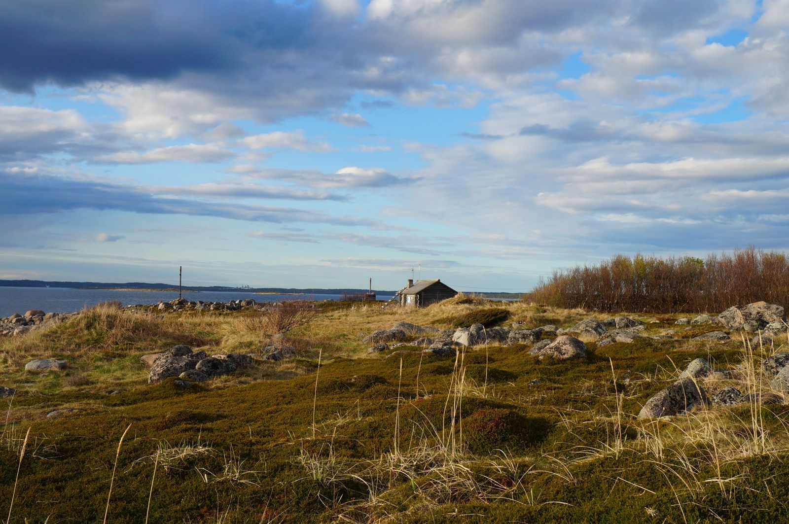 Соловецкая симфония (для гостей из Москвы) (14/19)