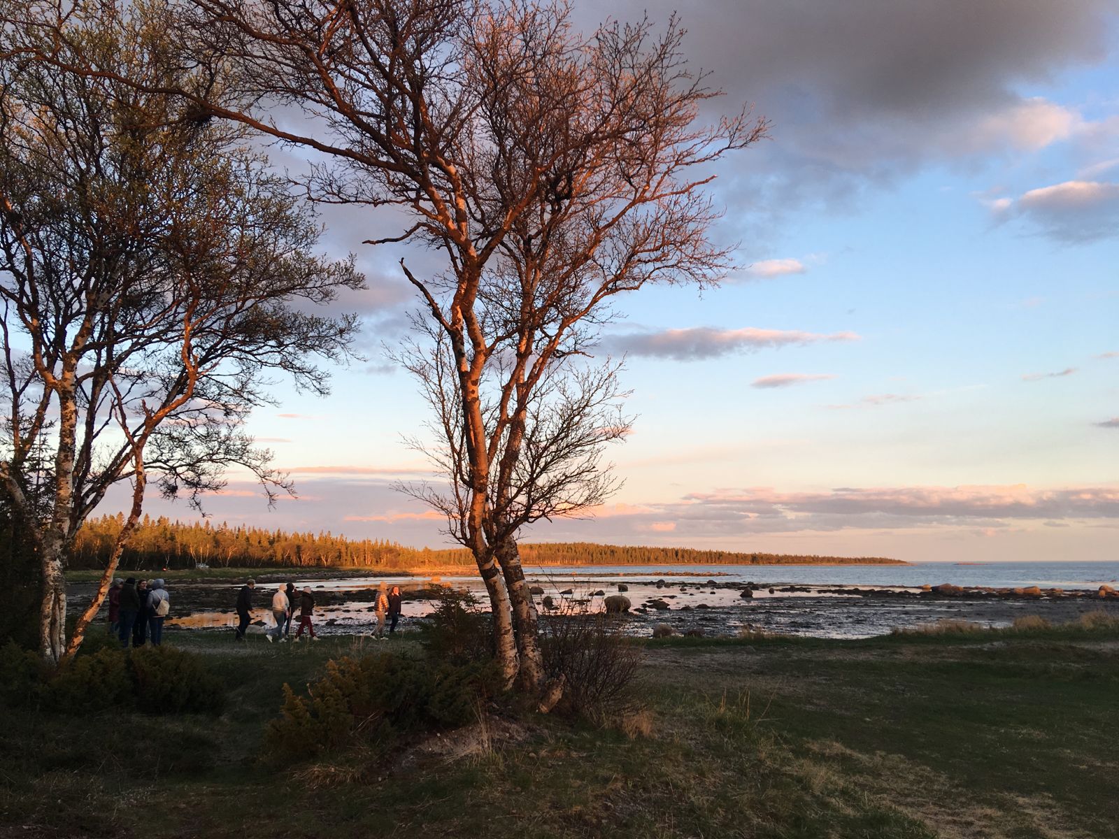 Соловецкая симфония (для гостей из Москвы) (17/19)