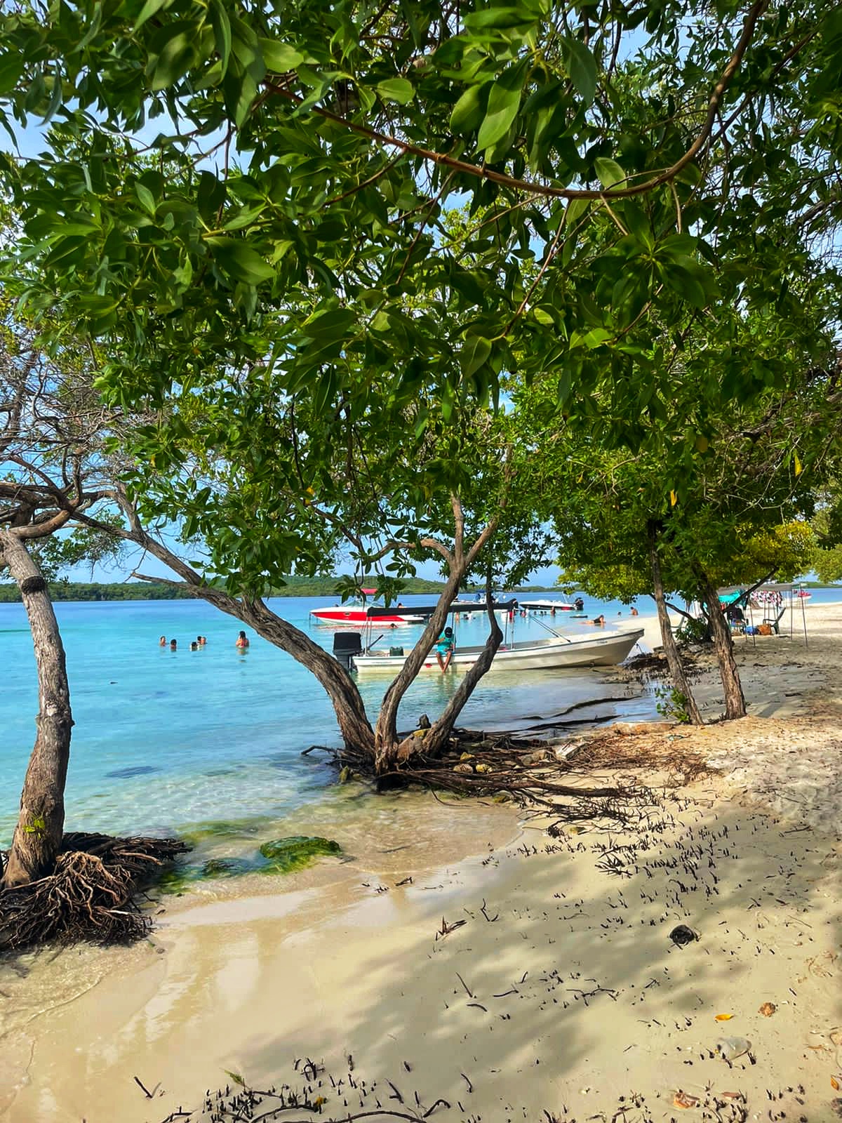 Венесуэла - большое путешествие в затерянные миры (индивидуально) (17/51)