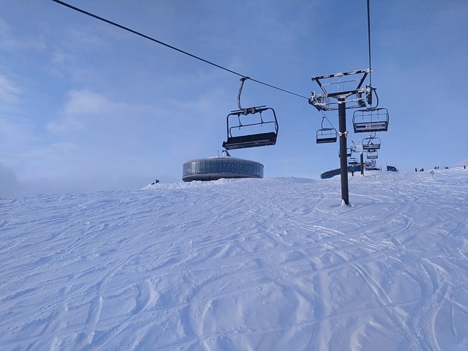 Сияние севера (23/38)