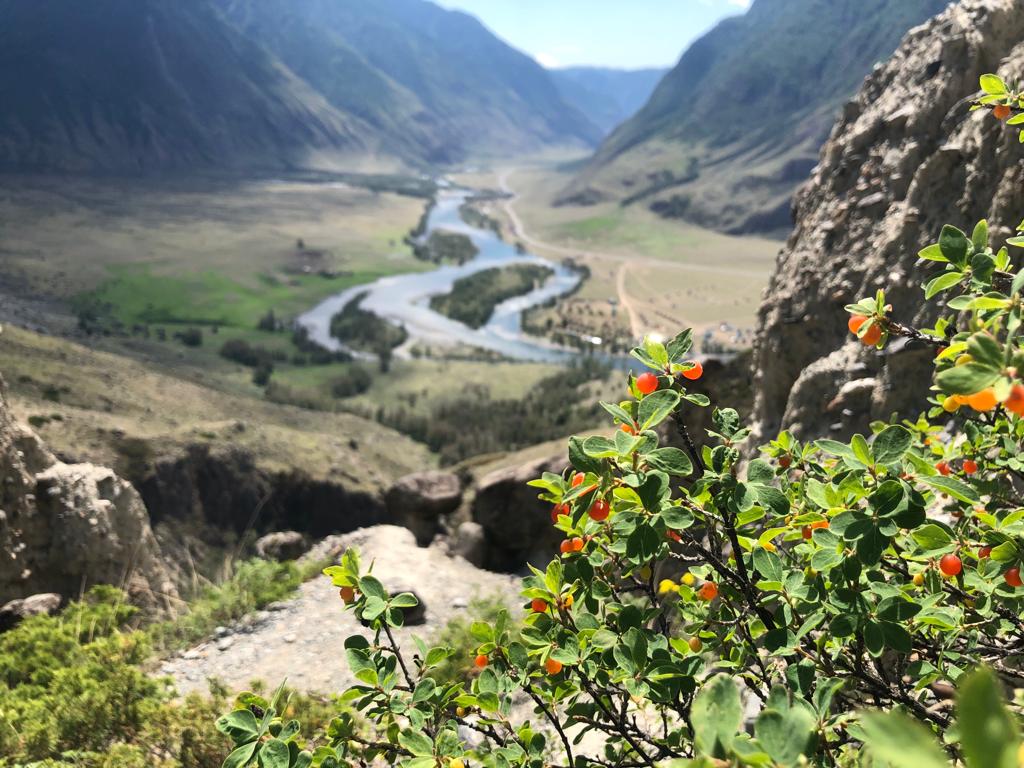 Жемчужное ожерелье Алтая (43/65)