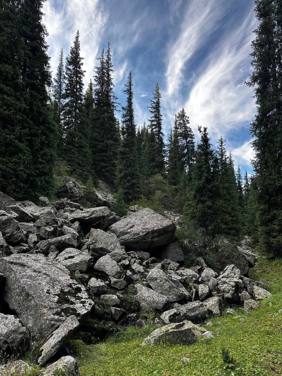 Южный Казахстан. Автотур  4-11 мая (12/14)