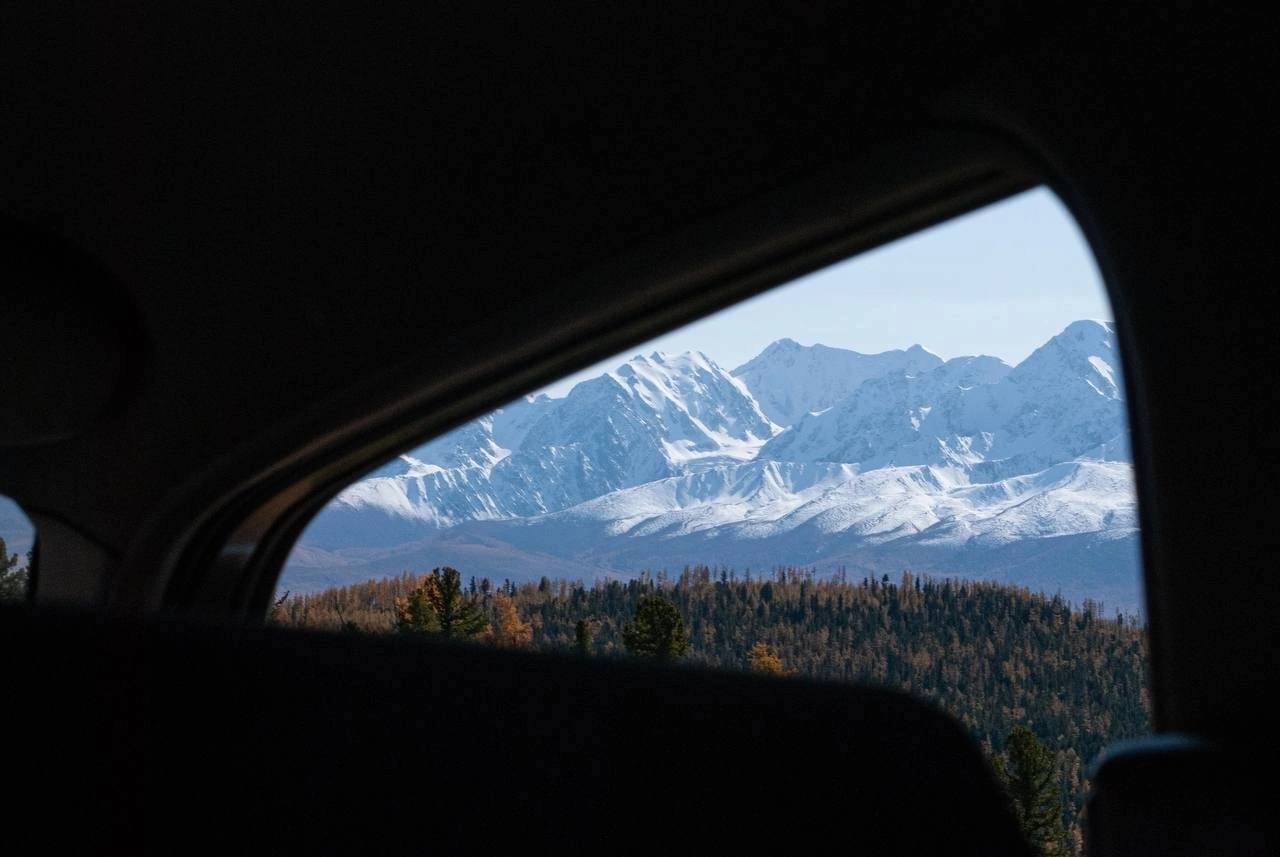 Актру  Горный Алтай.2025 (6/11)