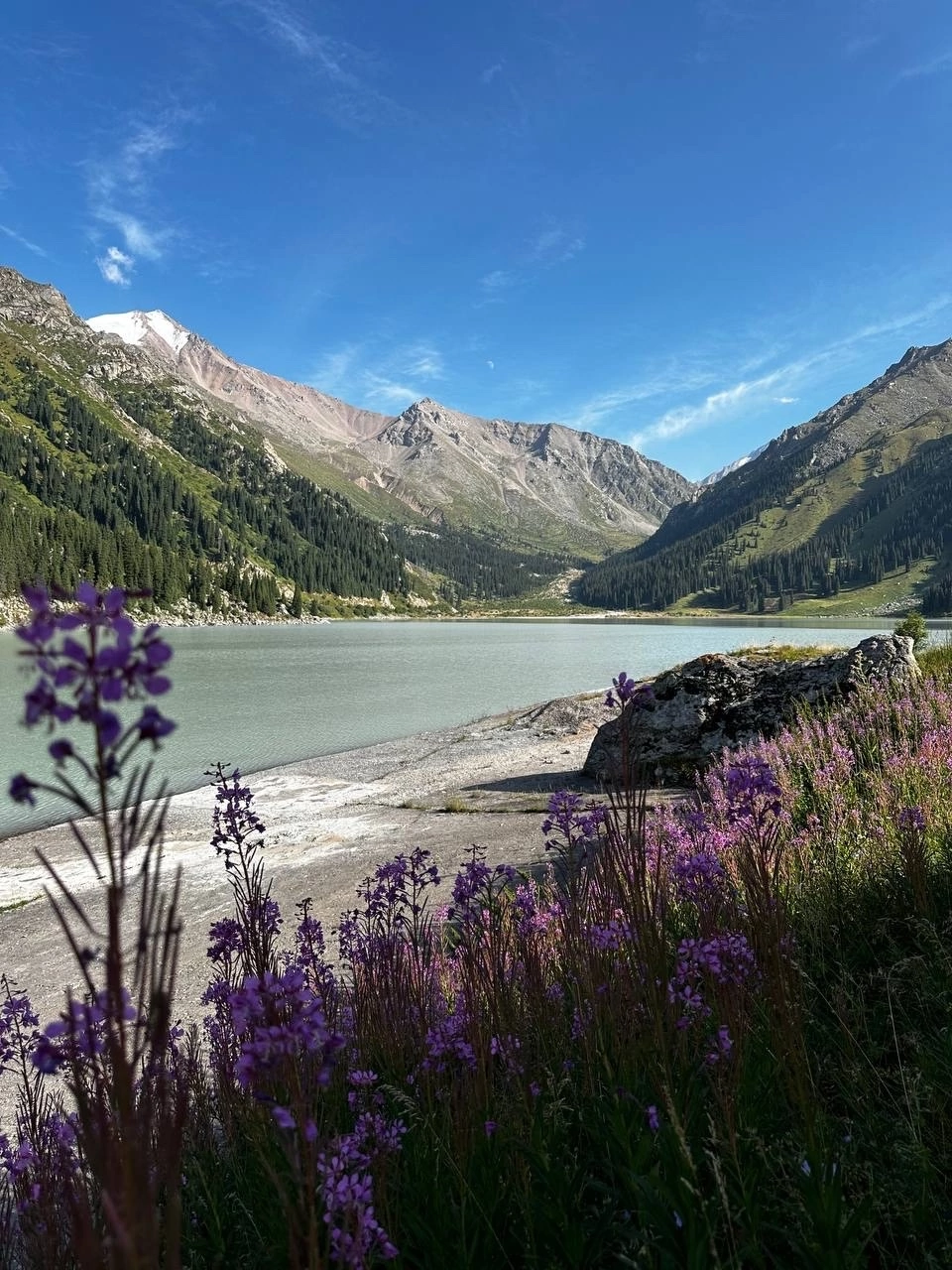 Южный Казахстан. Автотур  4-11 мая (11/14)