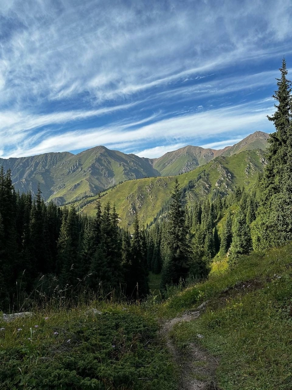 Южный Казахстан. Автотур  4-11 мая (10/14)