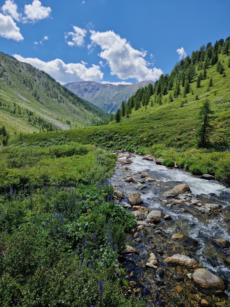 Поход по Алтаю к Шавлинским озерам (40/42)